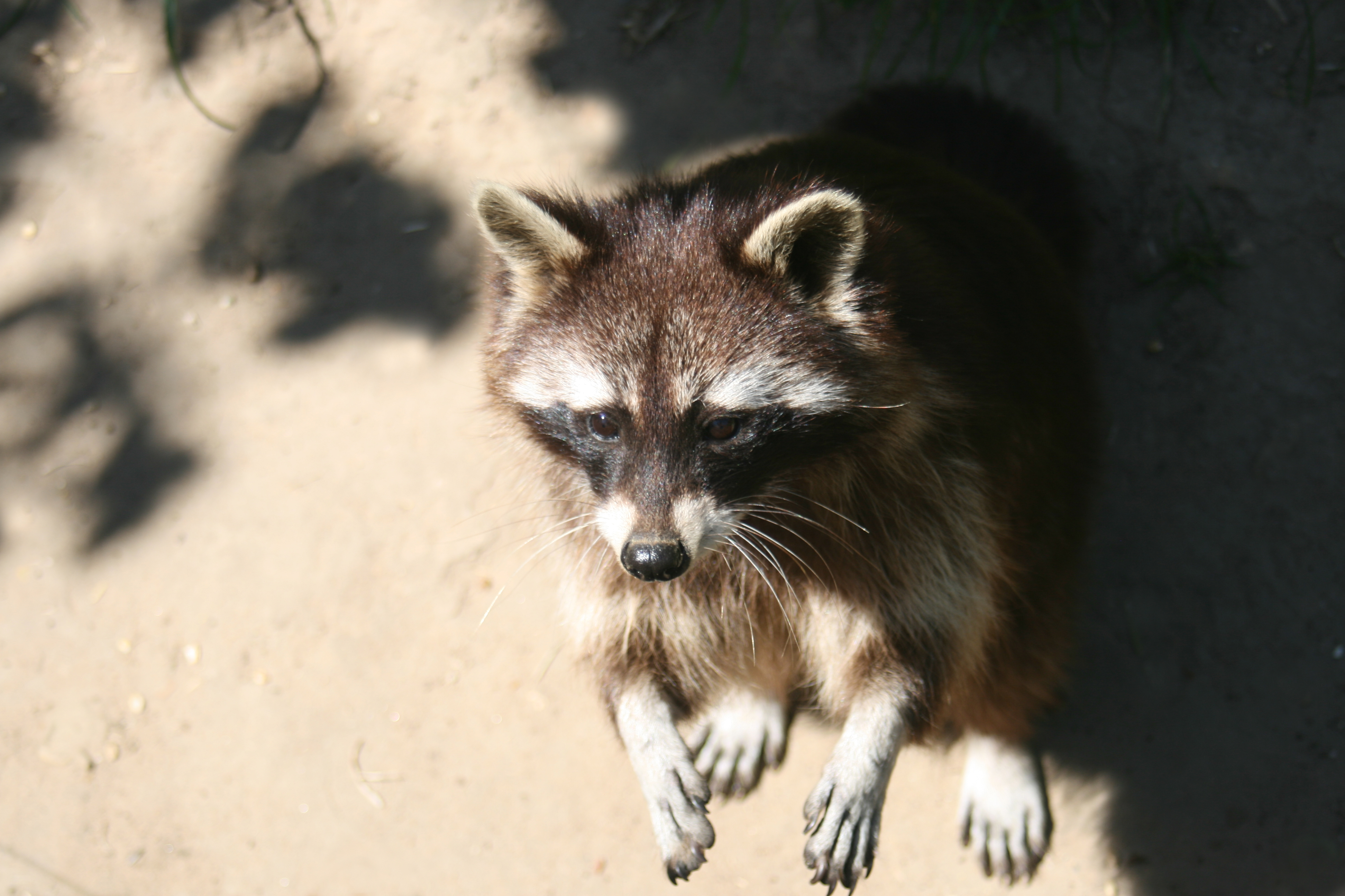20080524141027.jpg