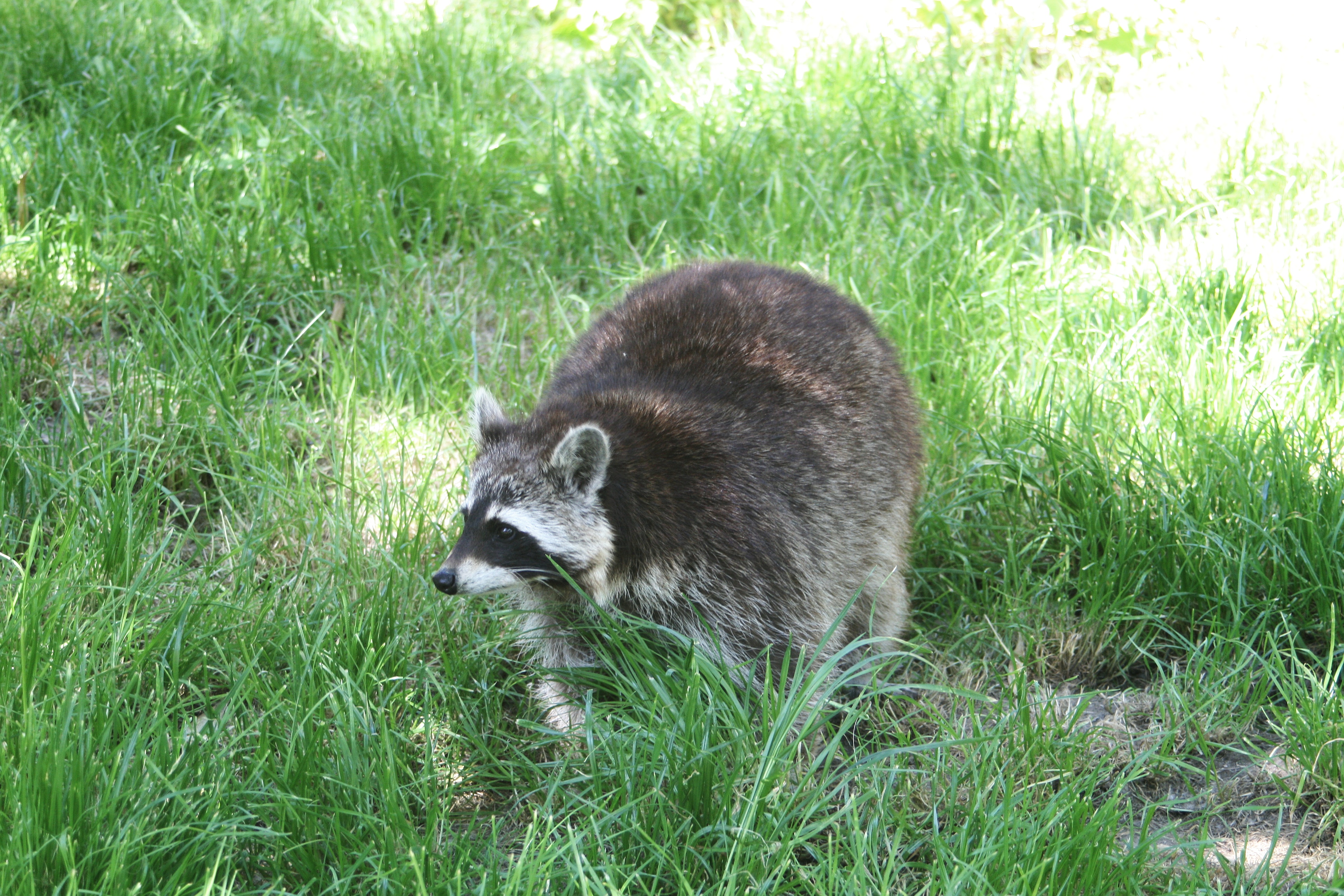 20080524141138.jpg