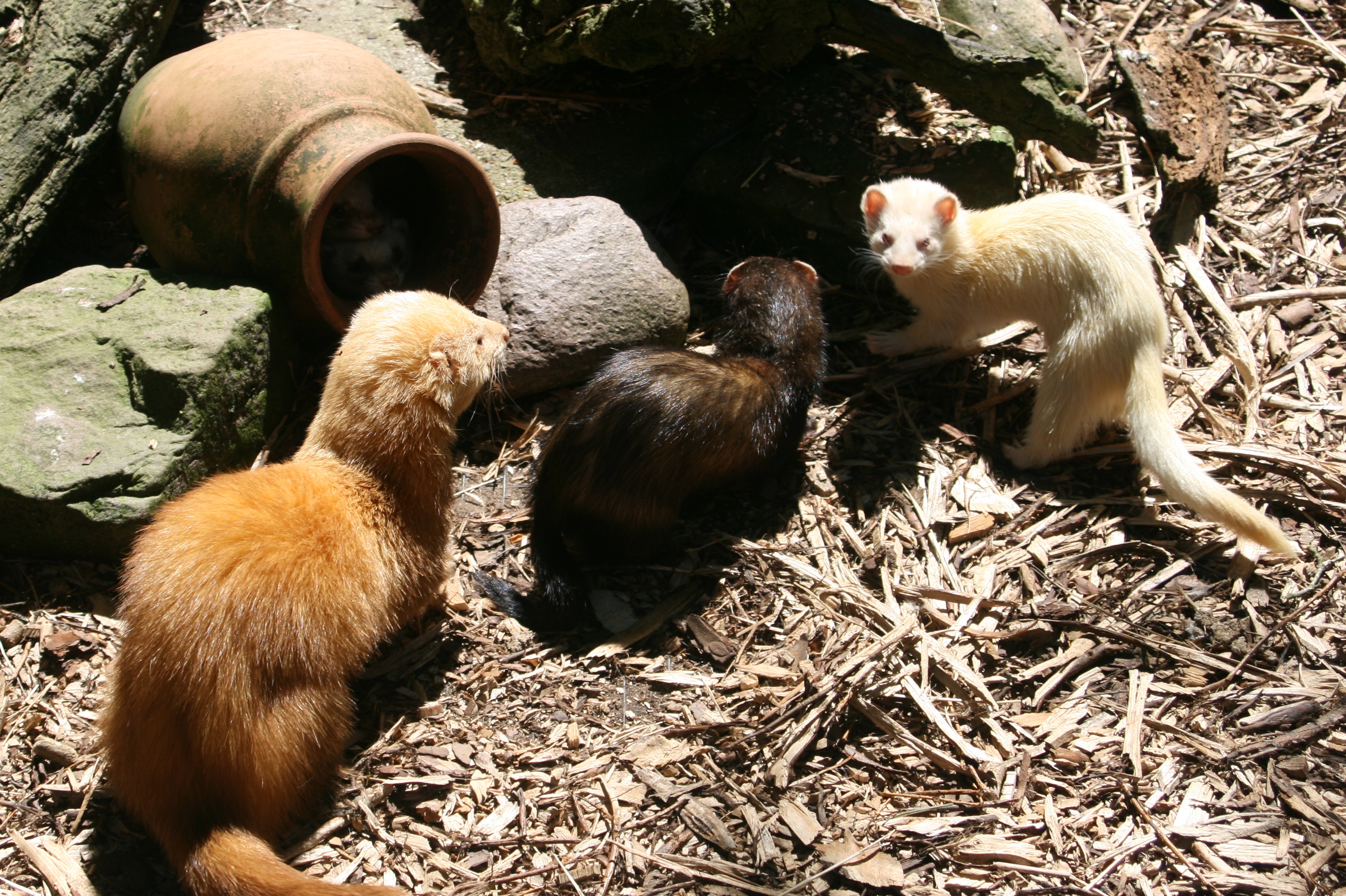 20080524143908.jpg