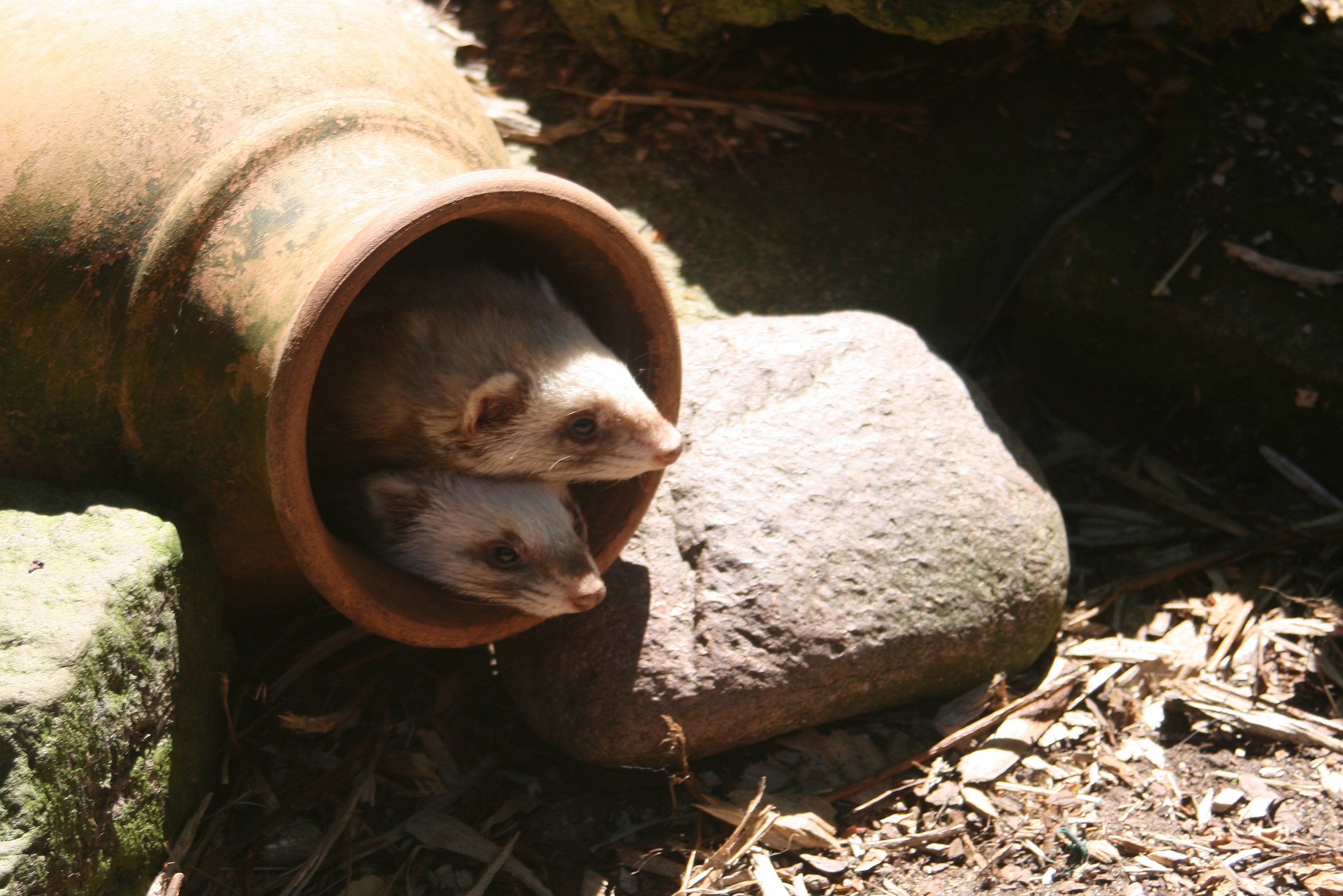 20080524143932.jpg