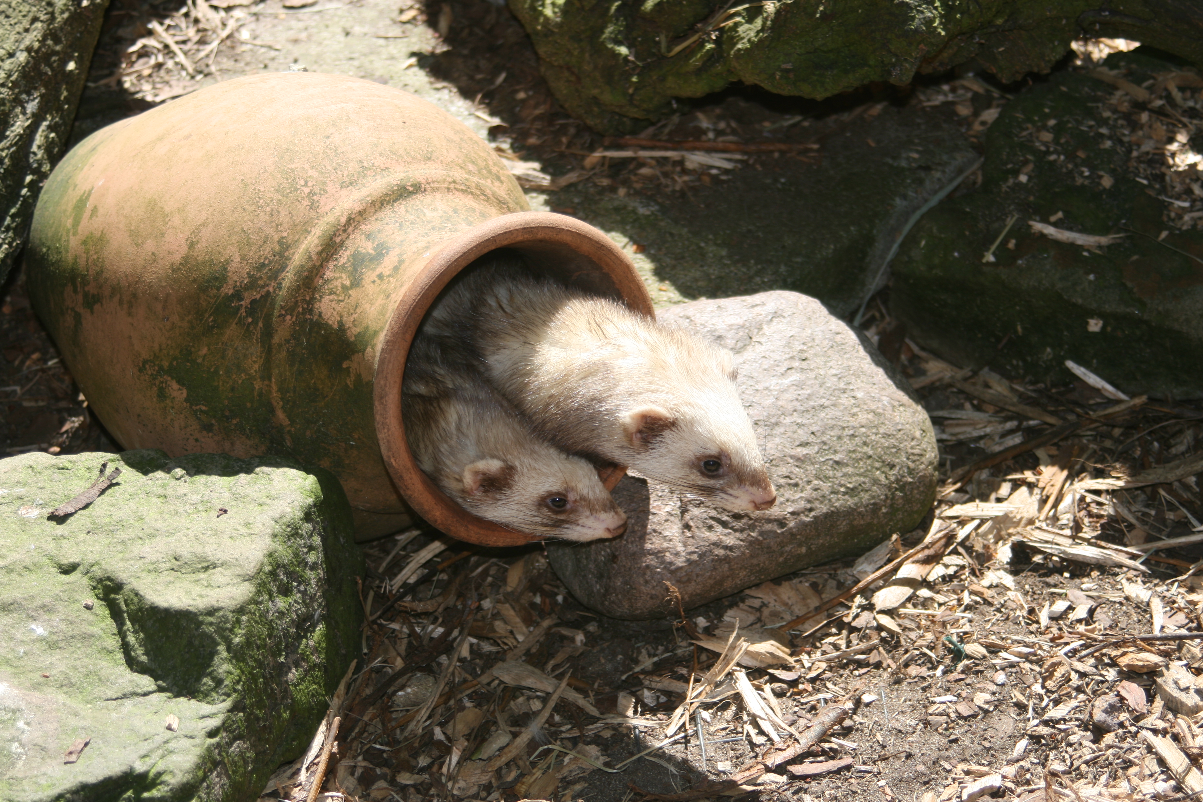 20080524143941.jpg