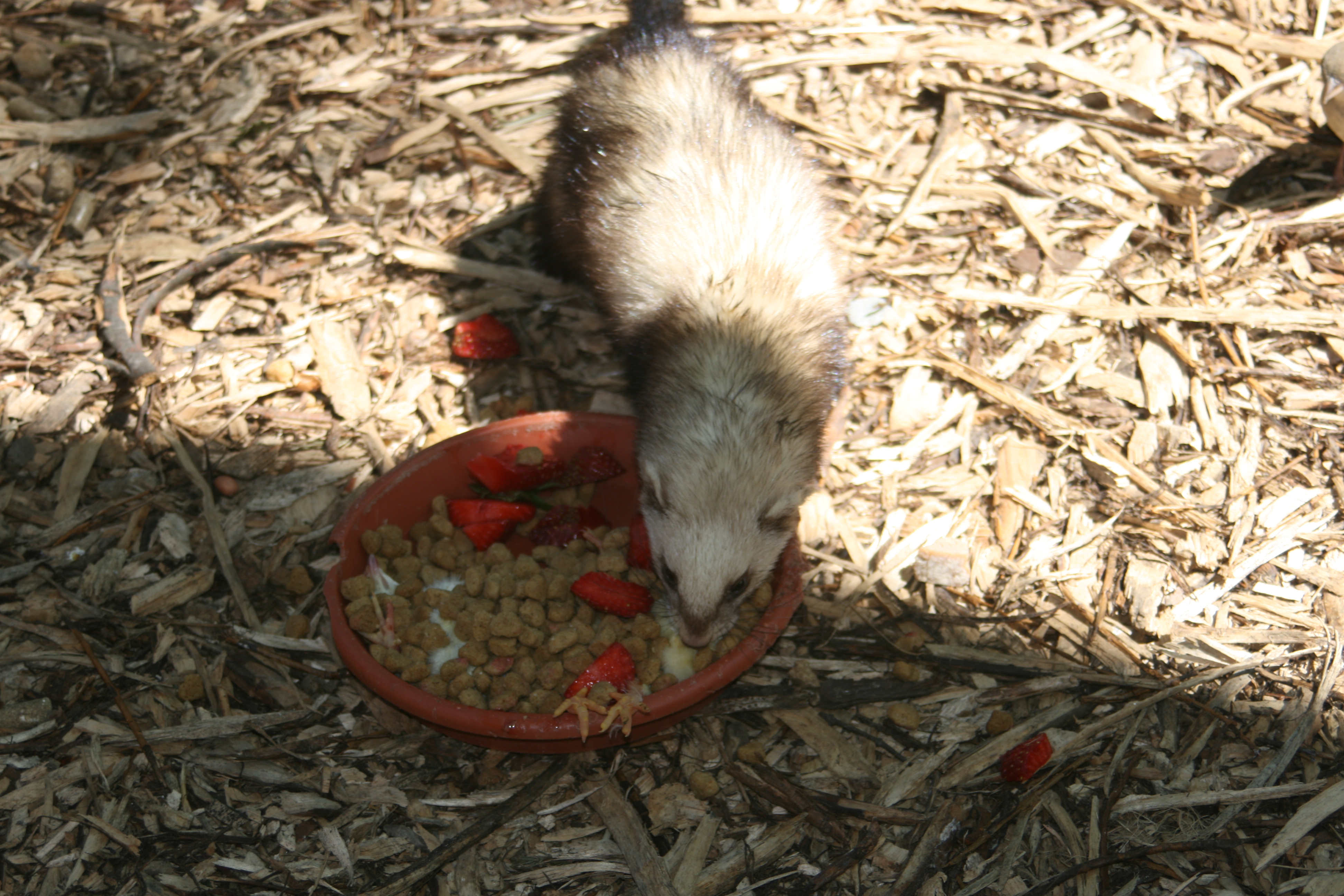 20080524144043.jpg