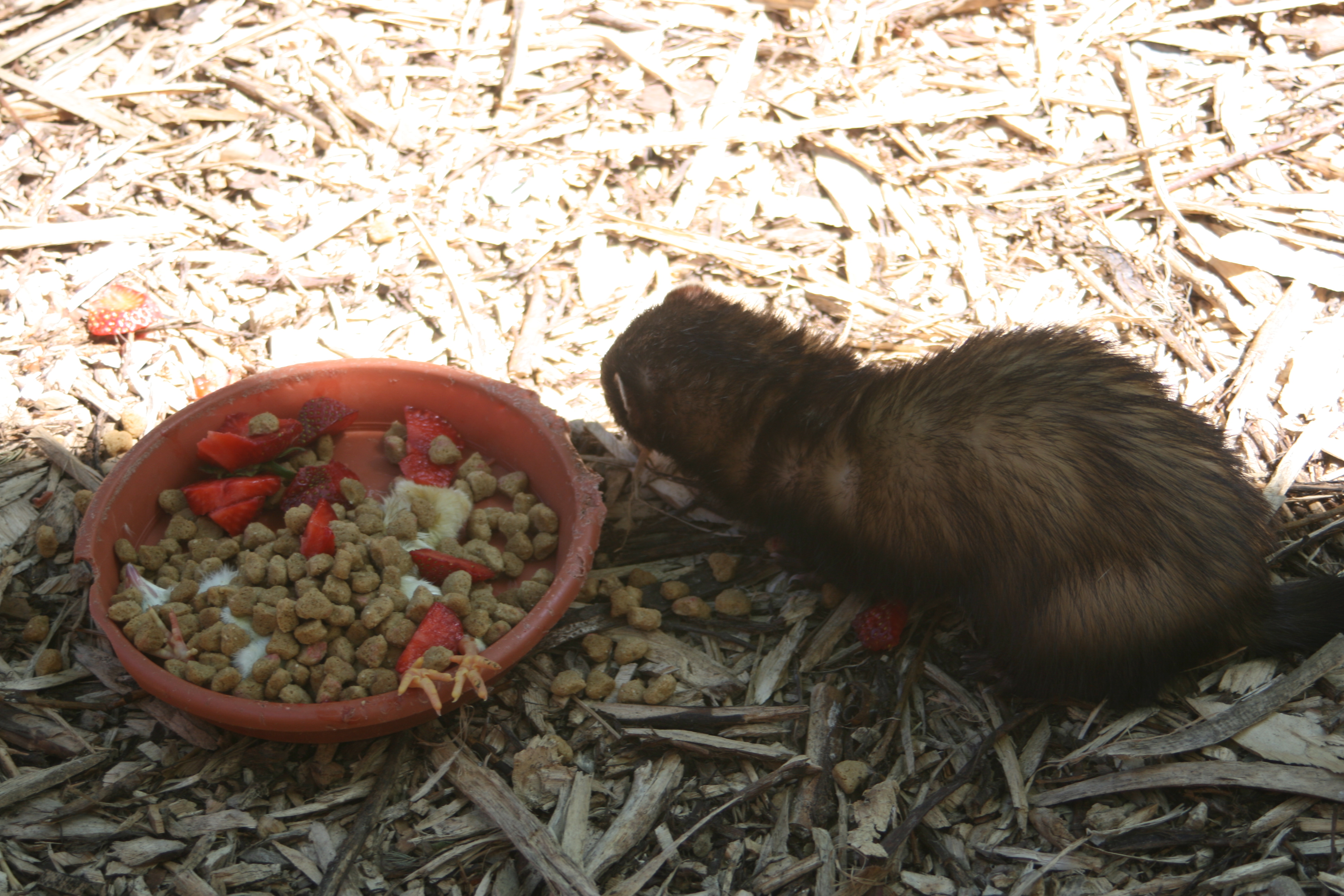 20080524144137.jpg