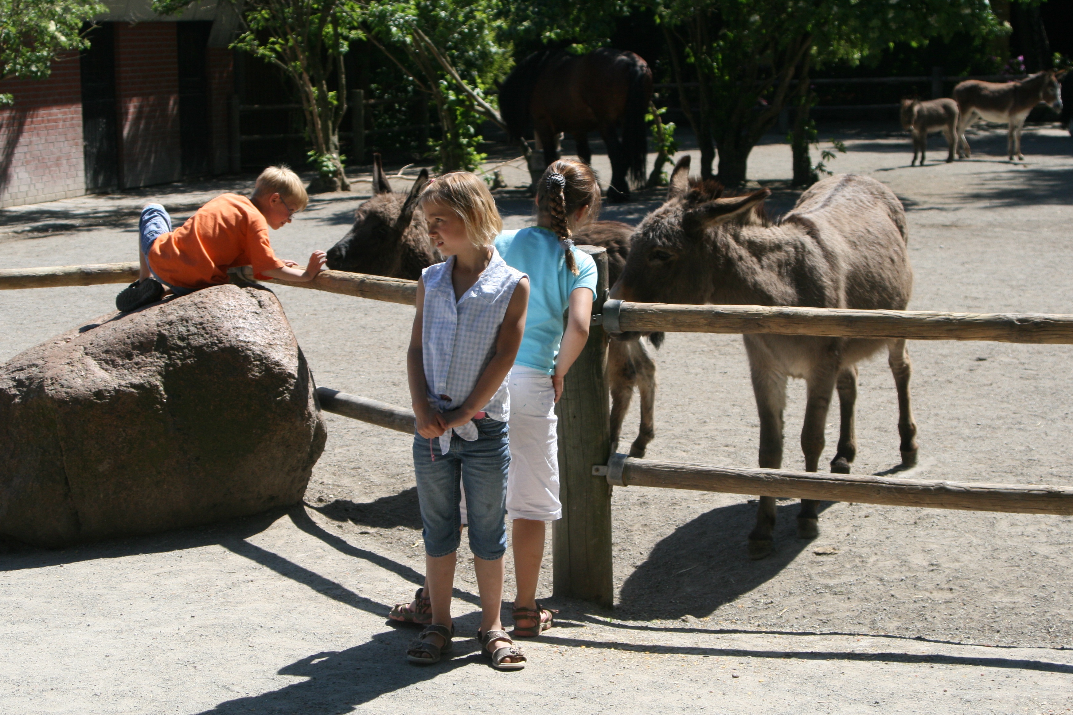 20080524144631.jpg