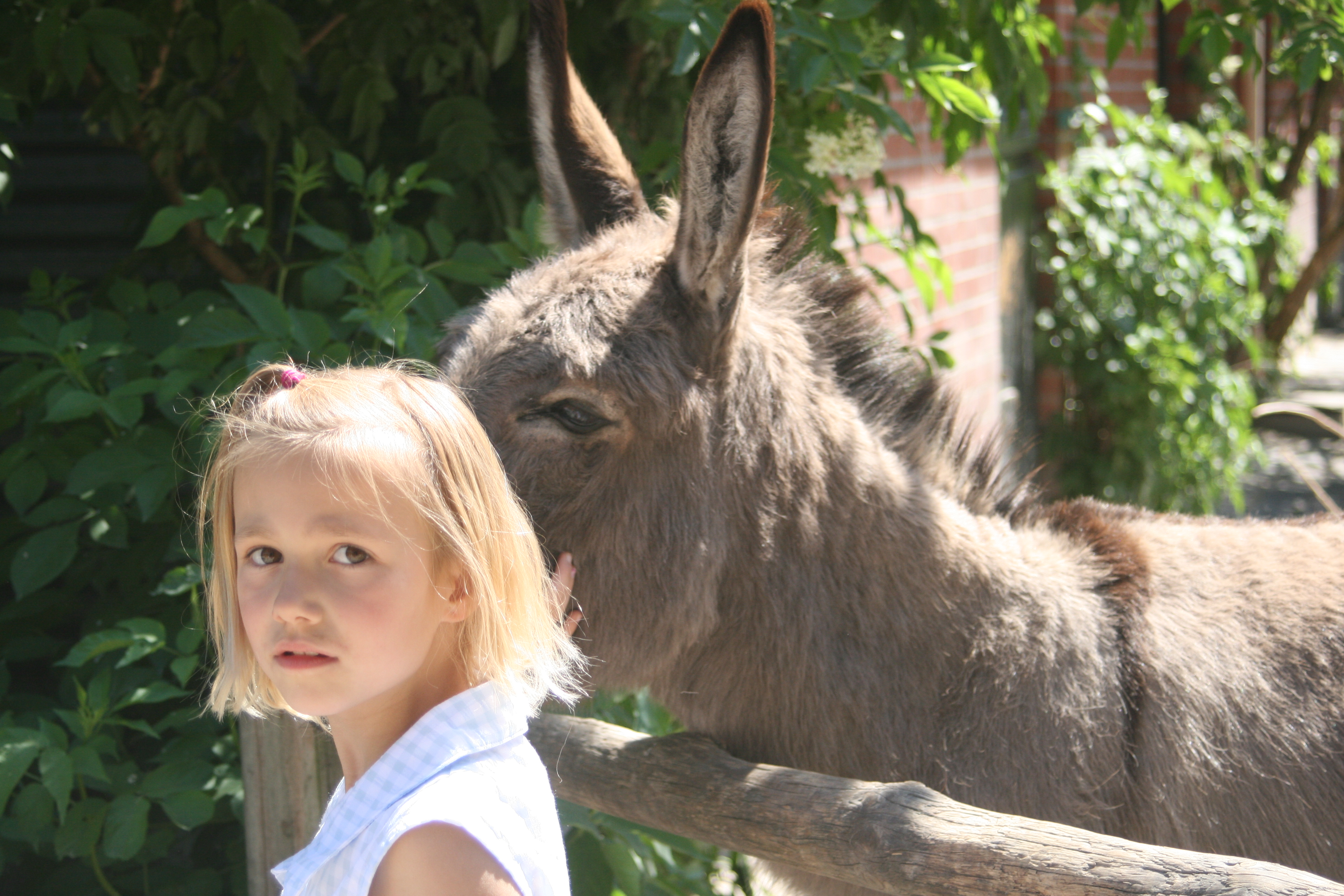 20080524144817.jpg
