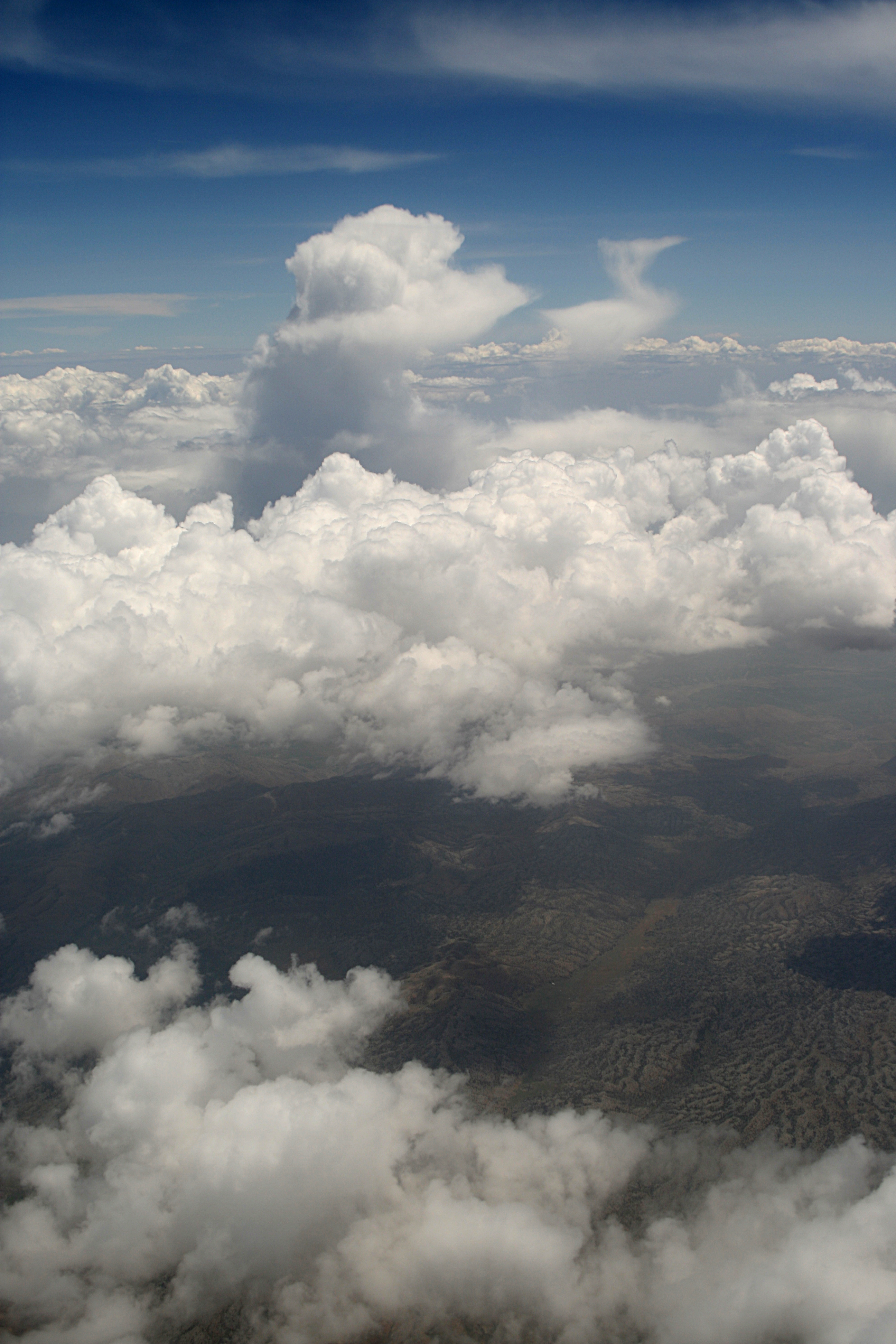 20080601105646.jpg