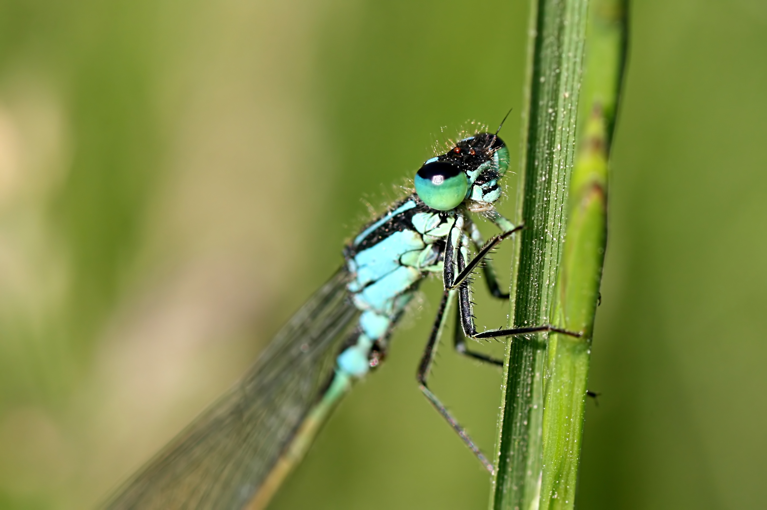 20080602175916.jpg