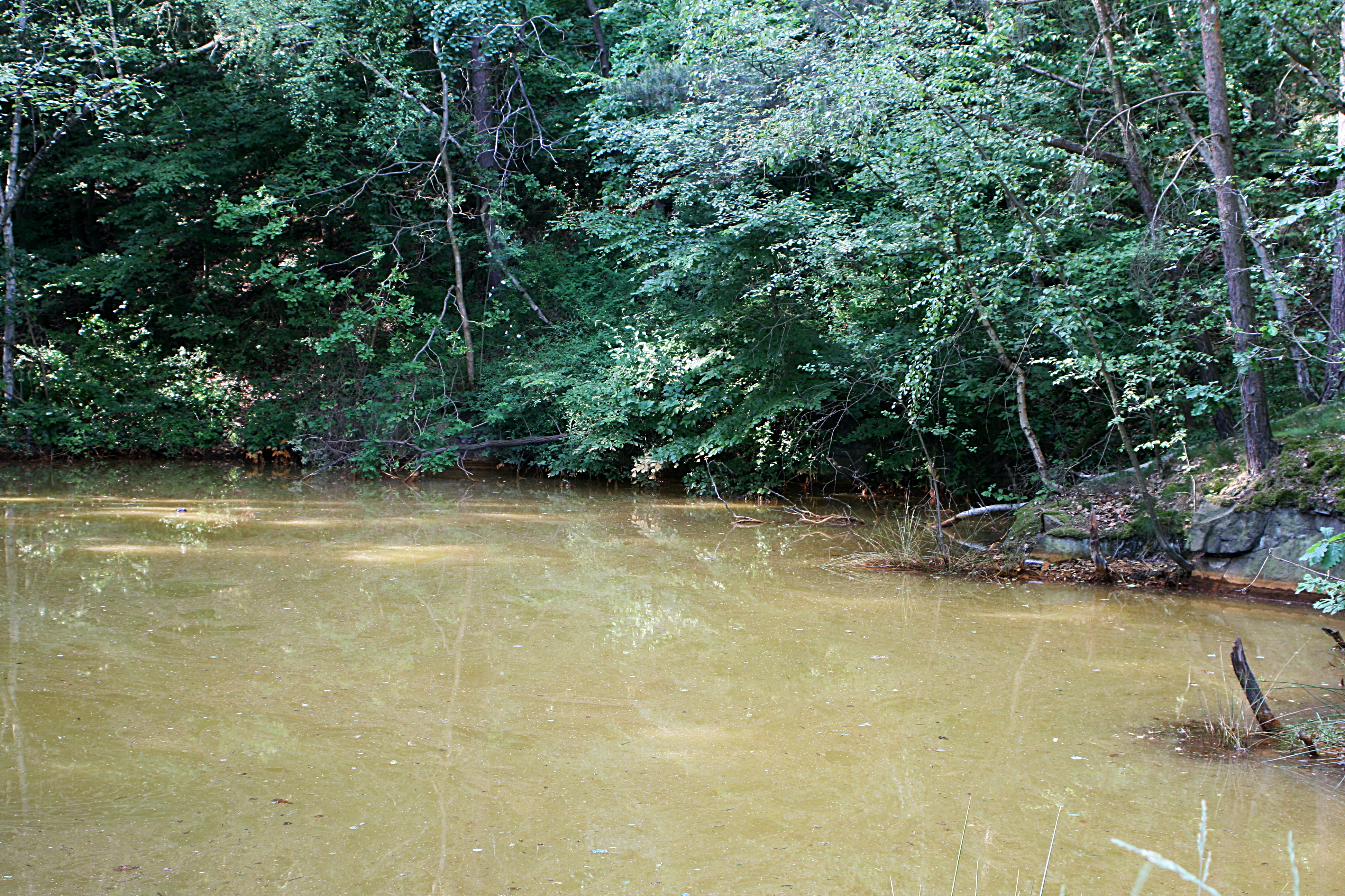 20080604172451.jpg