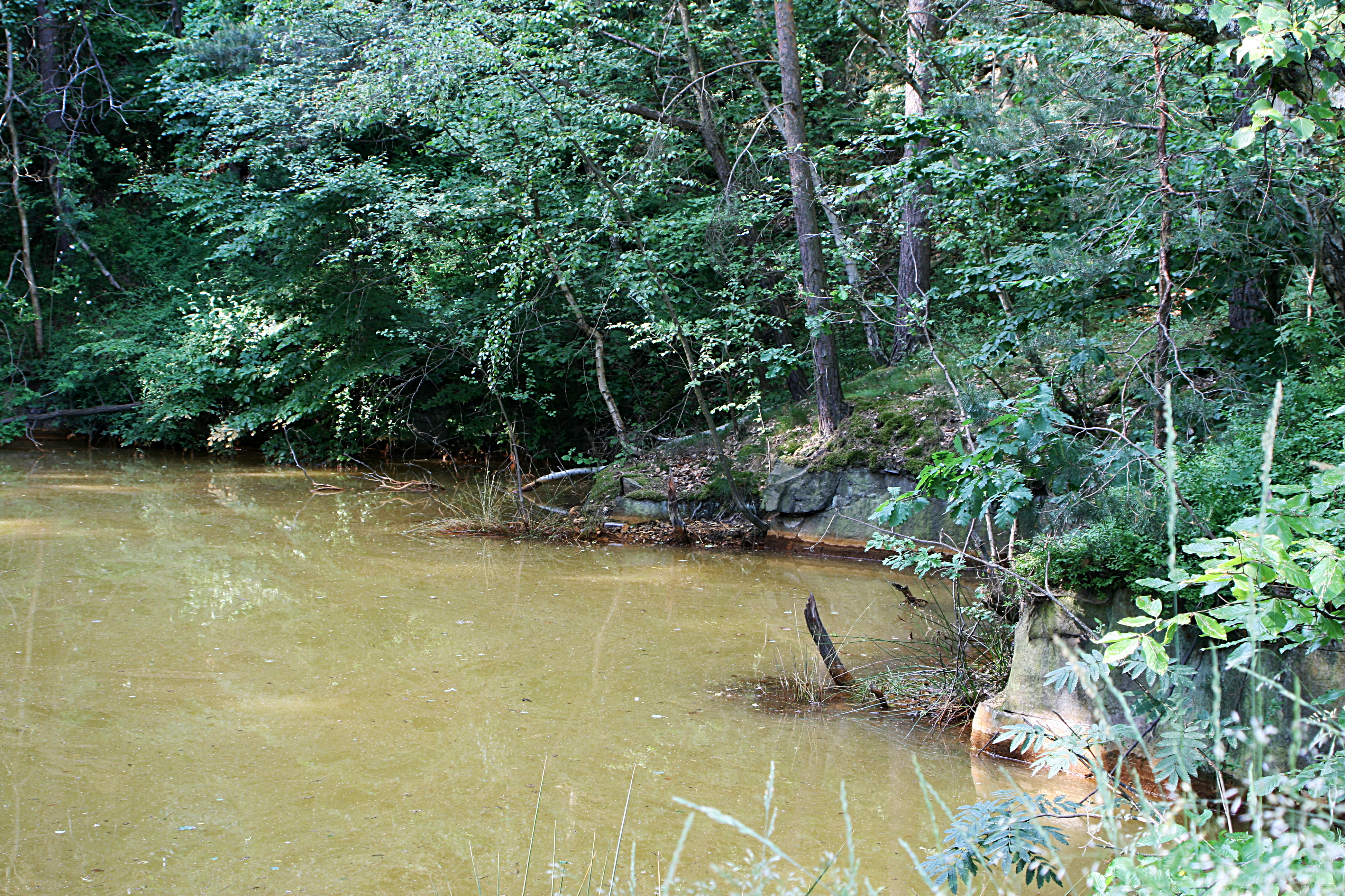20080604172511.jpg