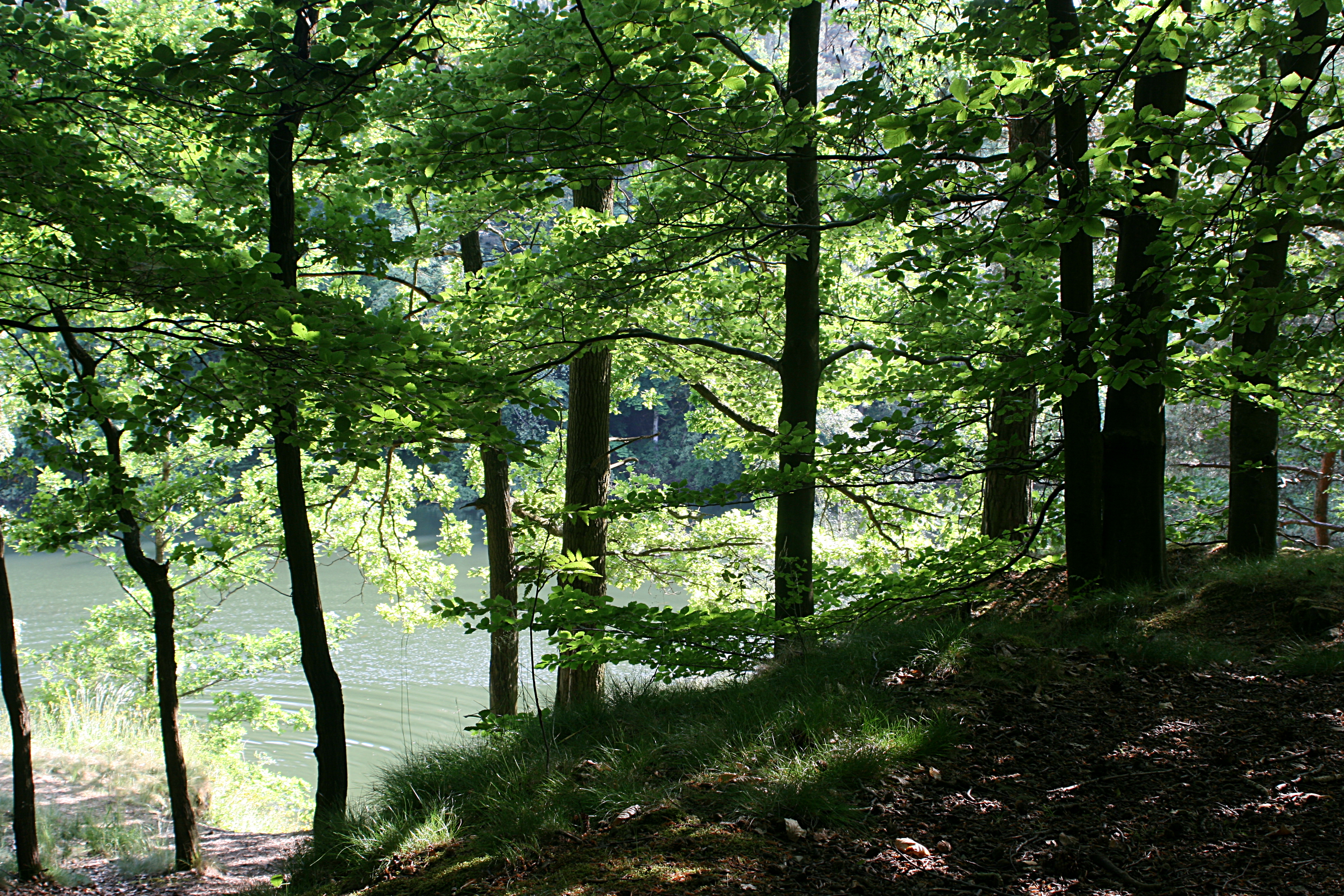 20080604172646.jpg
