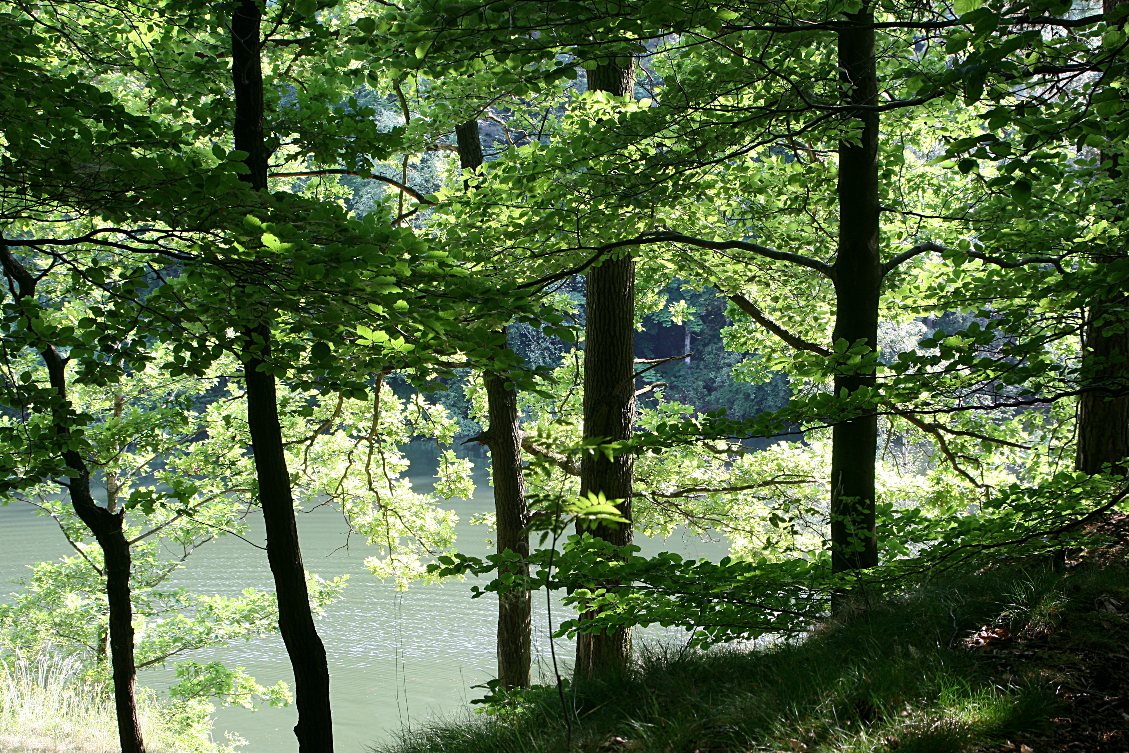 20080604172704.jpg