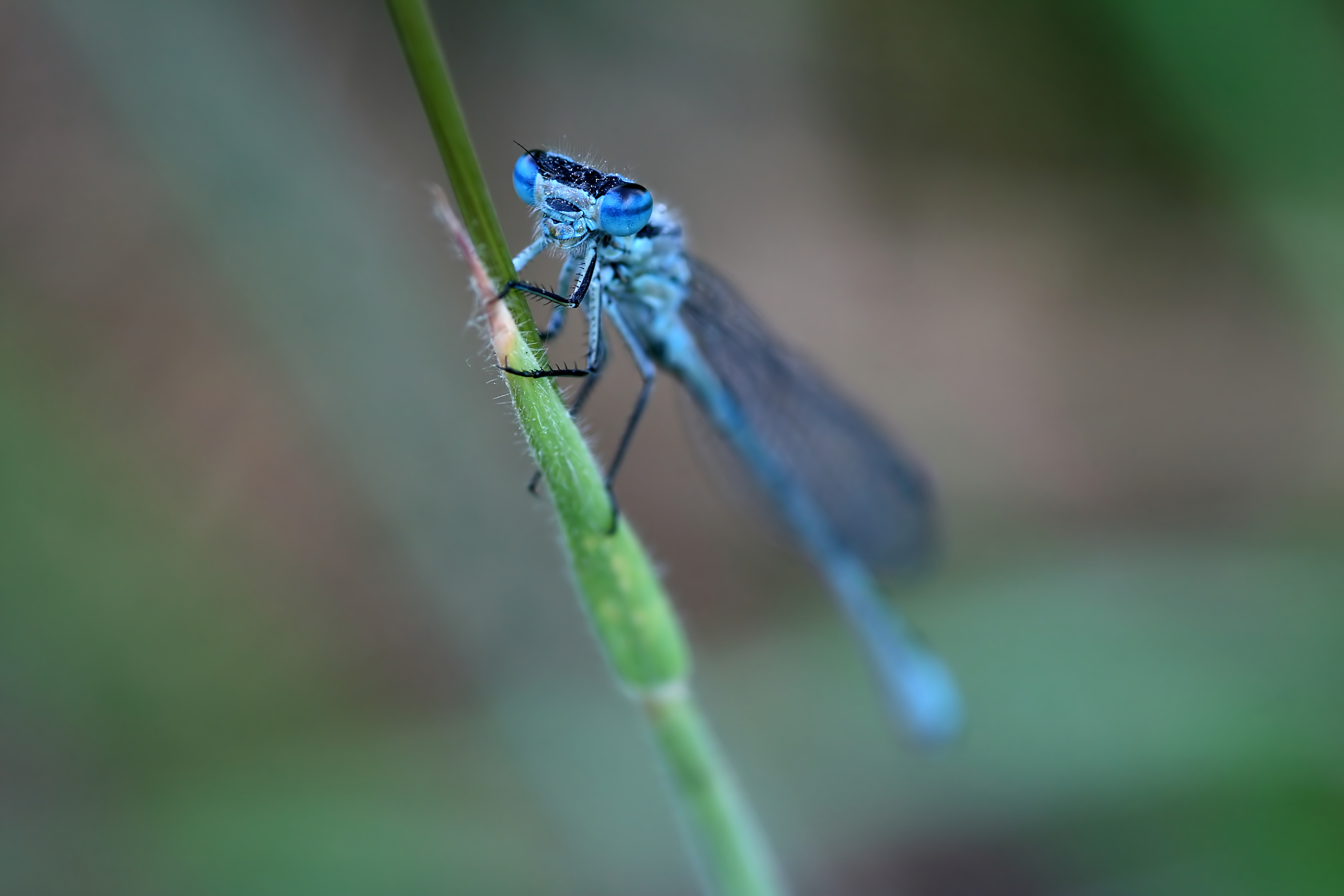 20080607074345.jpg