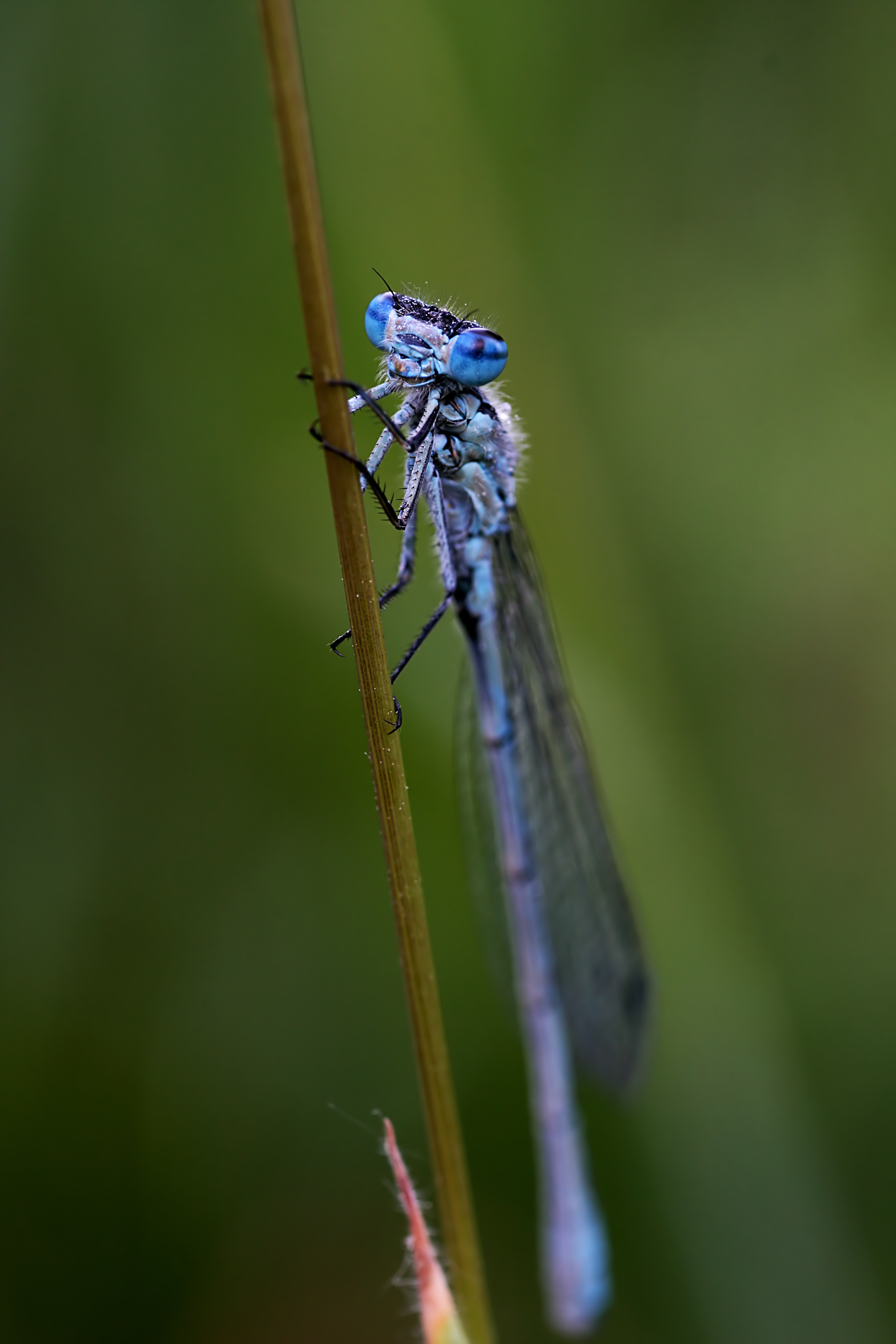 20080607074539.jpg