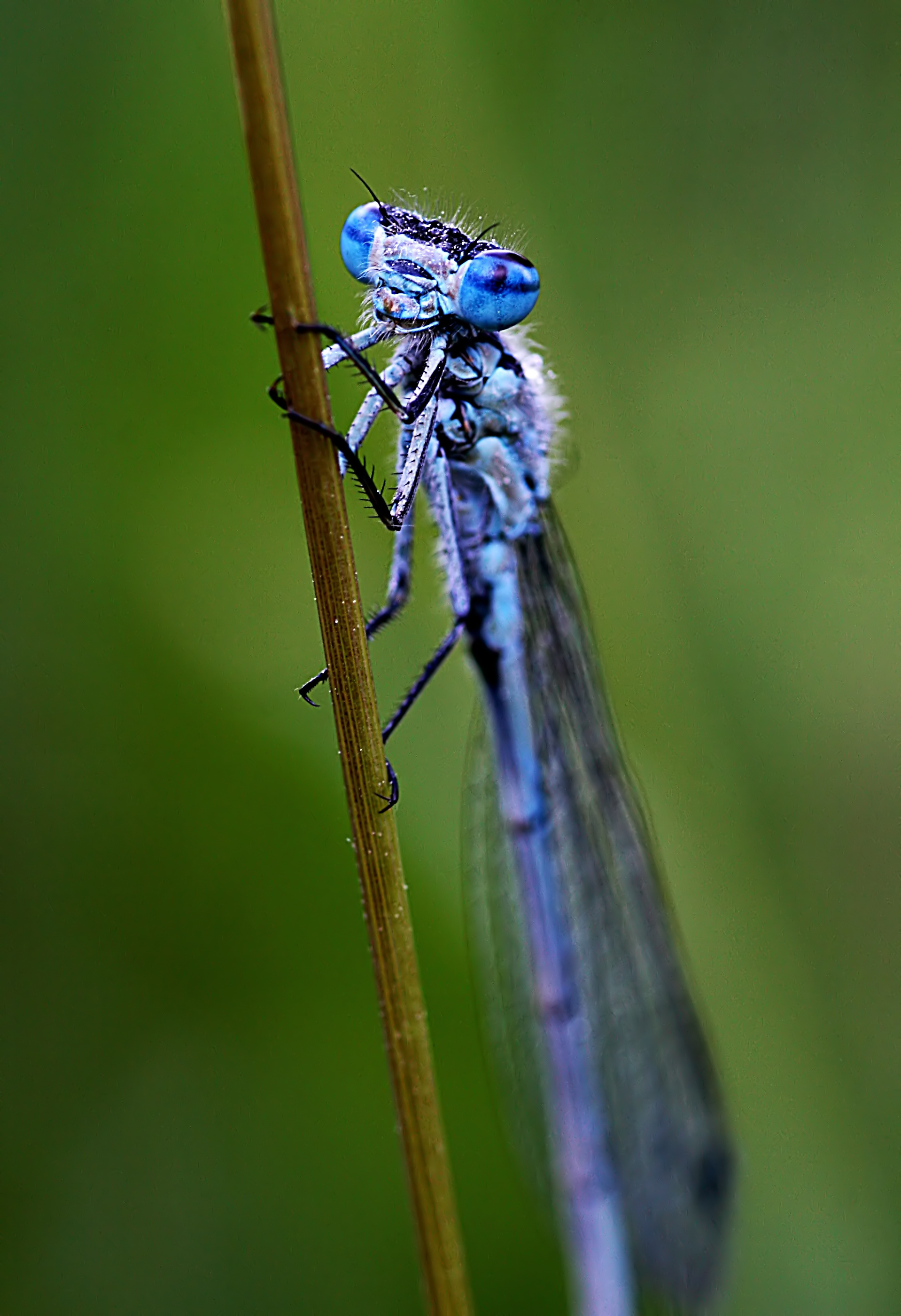 20080607074556.jpg