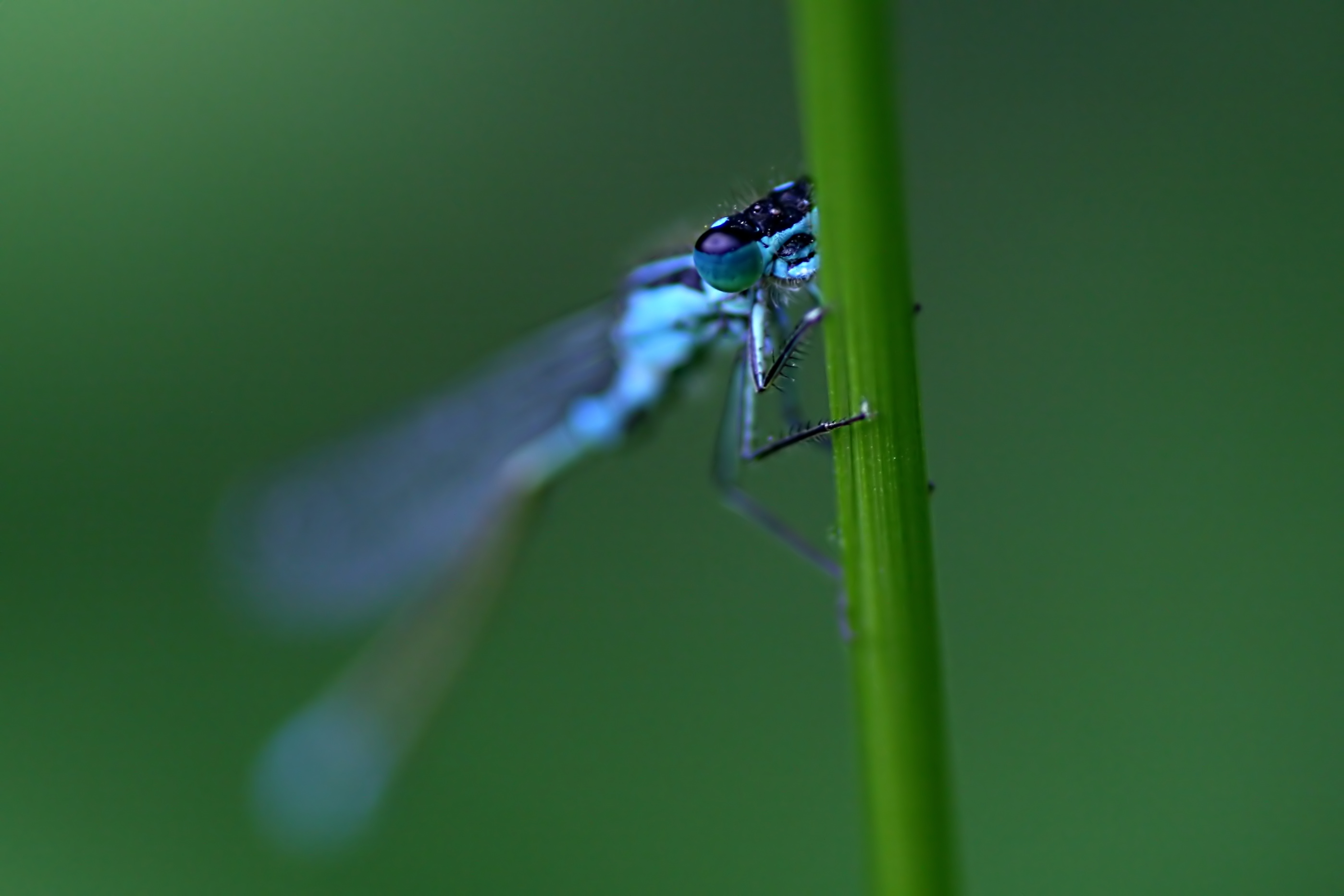 20080607170729.jpg