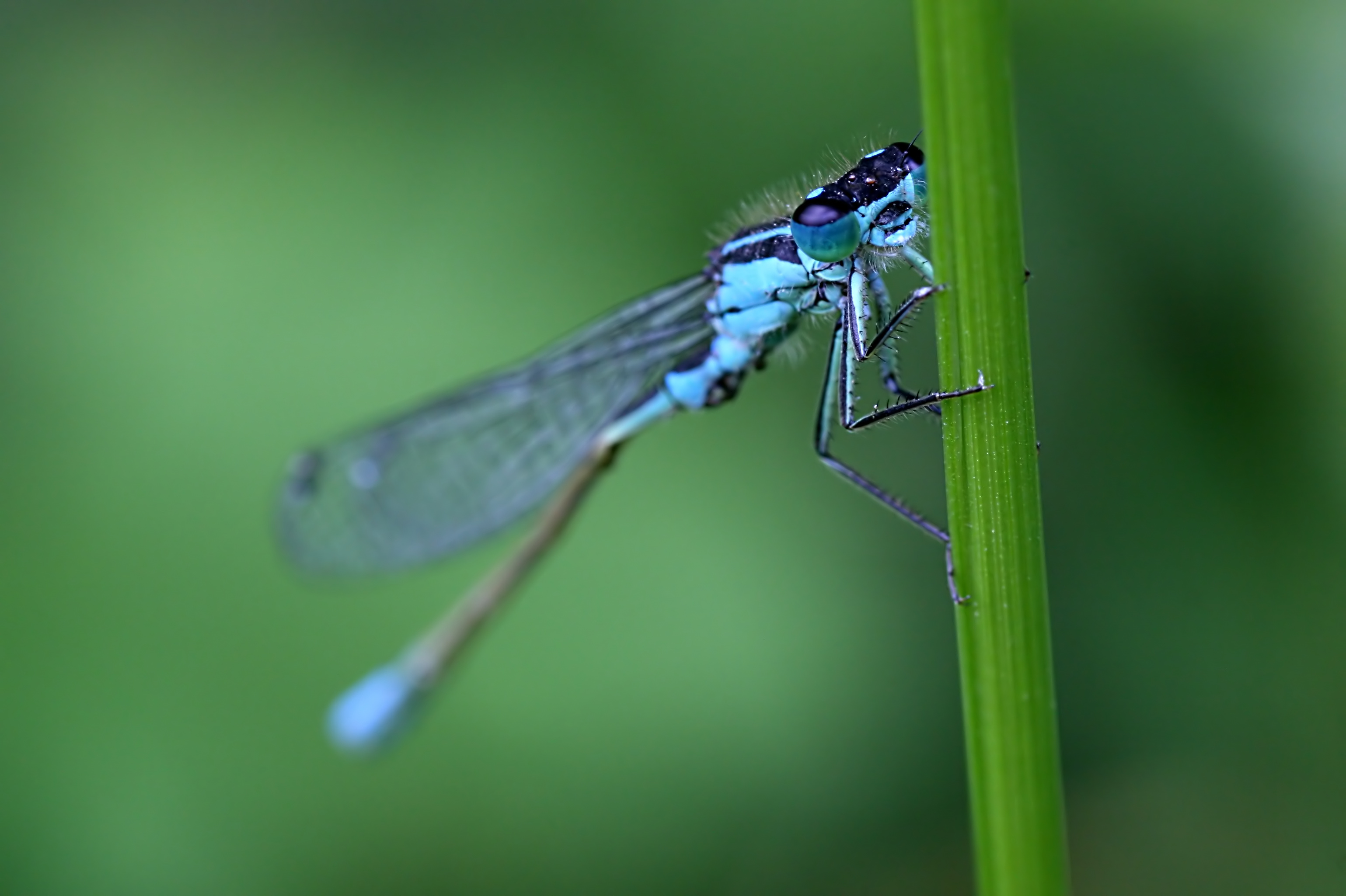 20080607171153.jpg