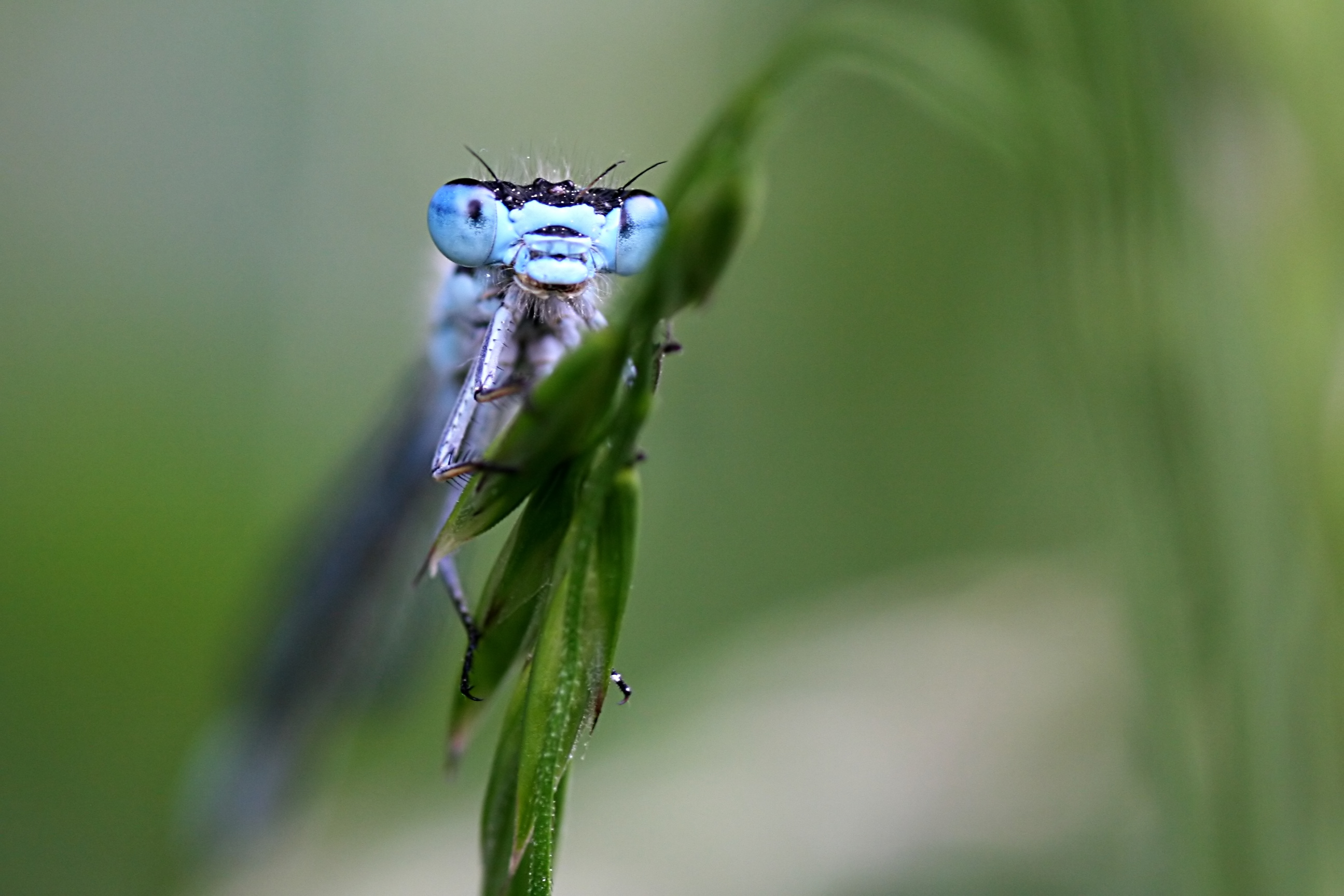 20080607174740.jpg