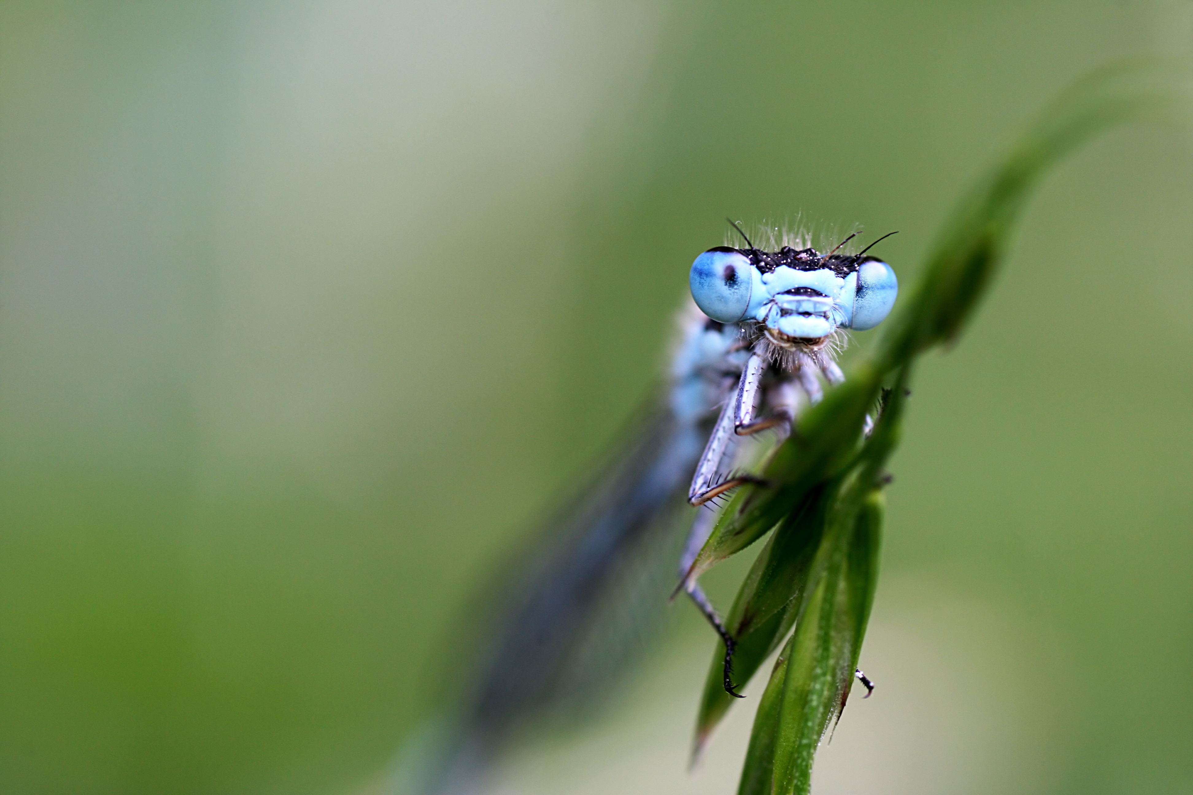 20080607174901.jpg