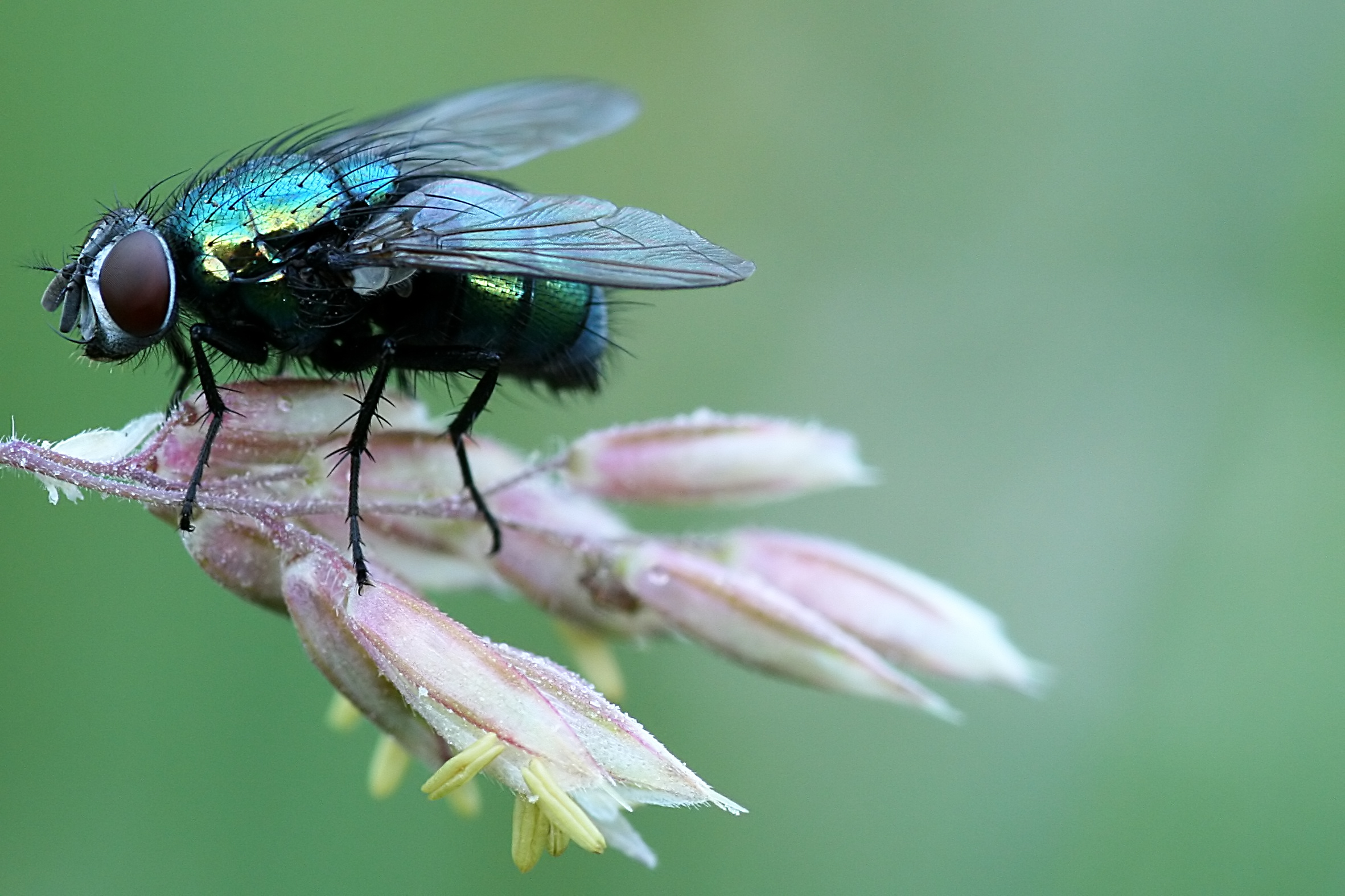 20080610061619.jpg