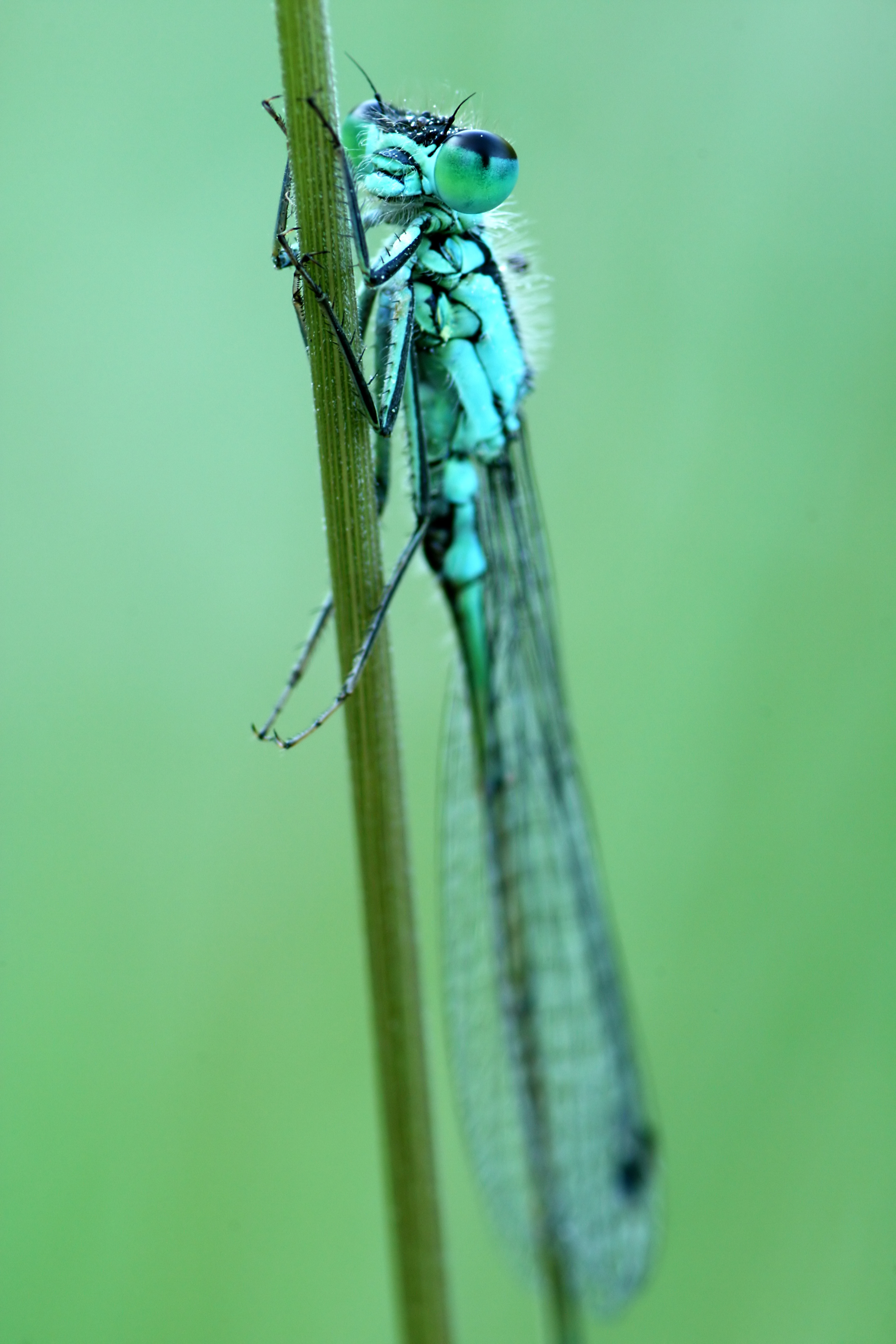 20080610065815.jpg
