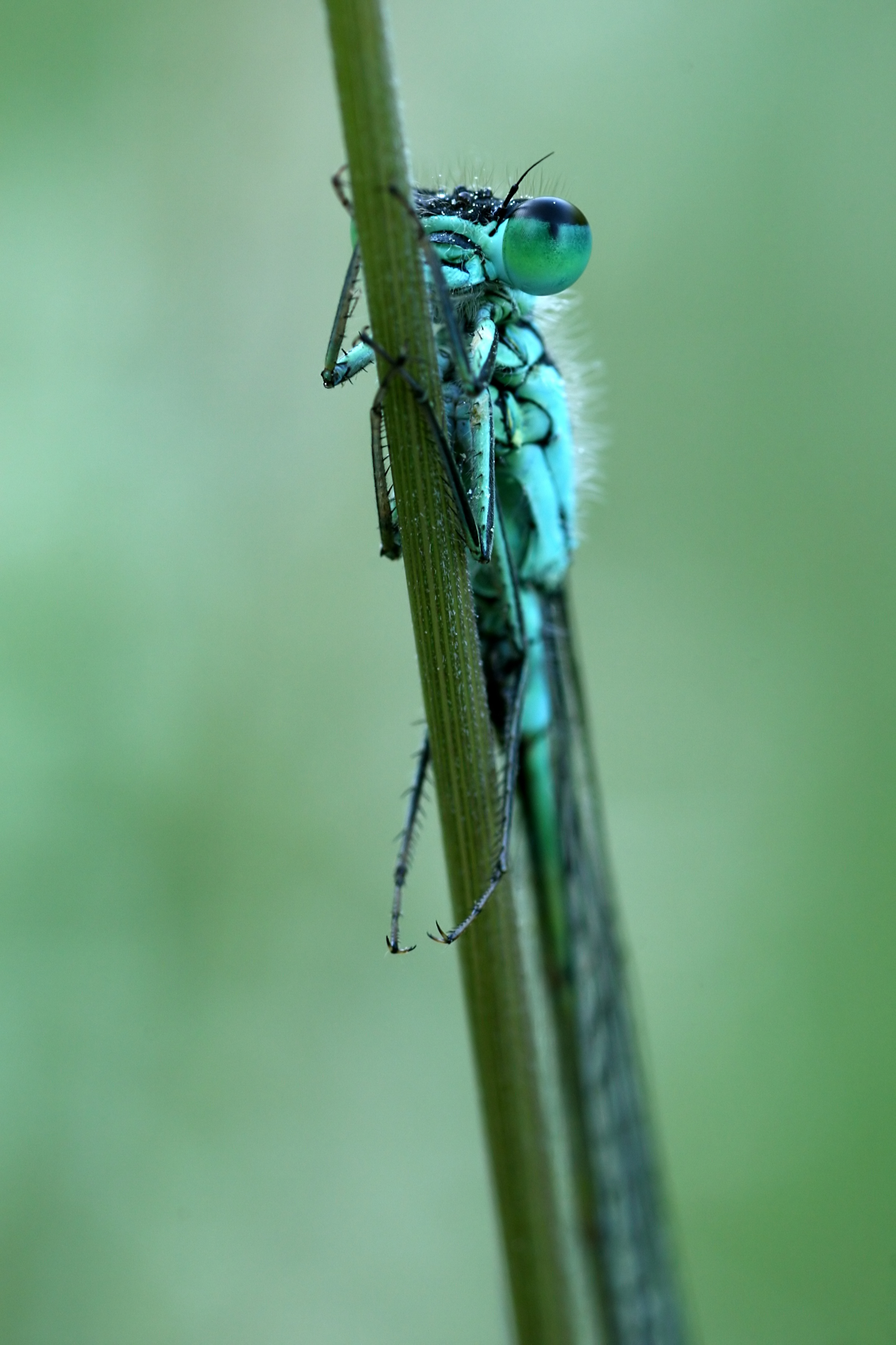 20080610065932.jpg