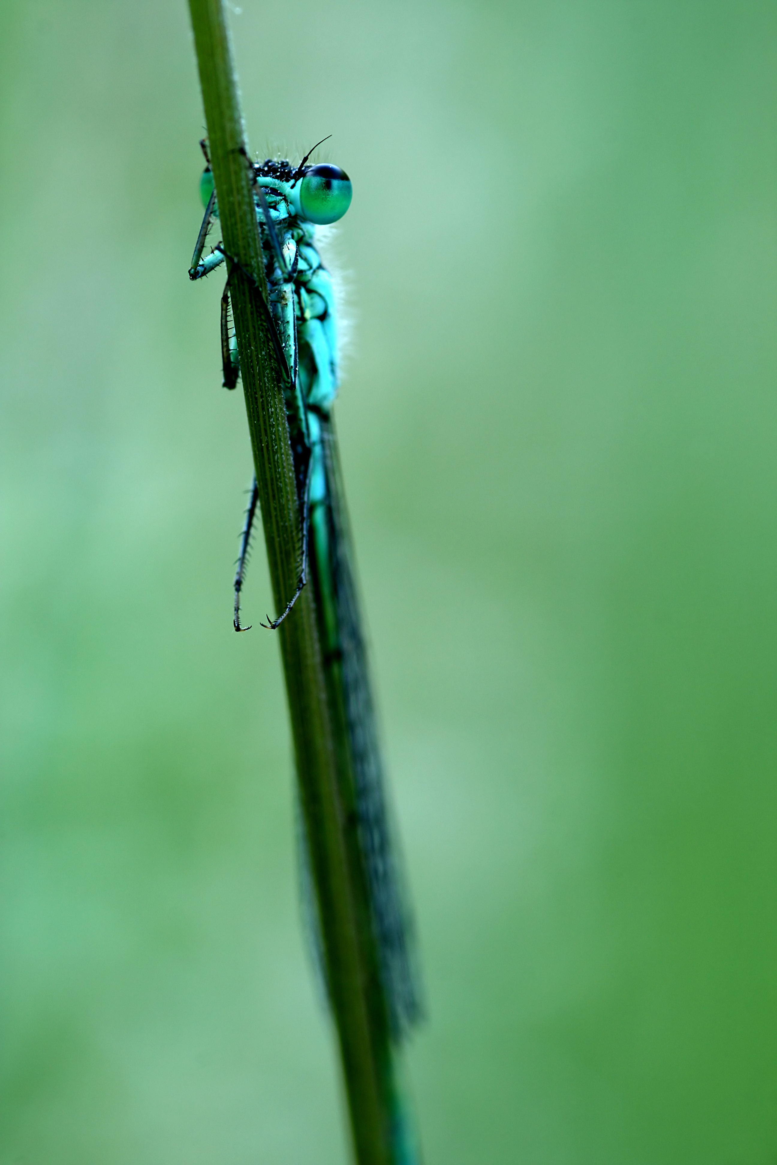 20080610070113.jpg