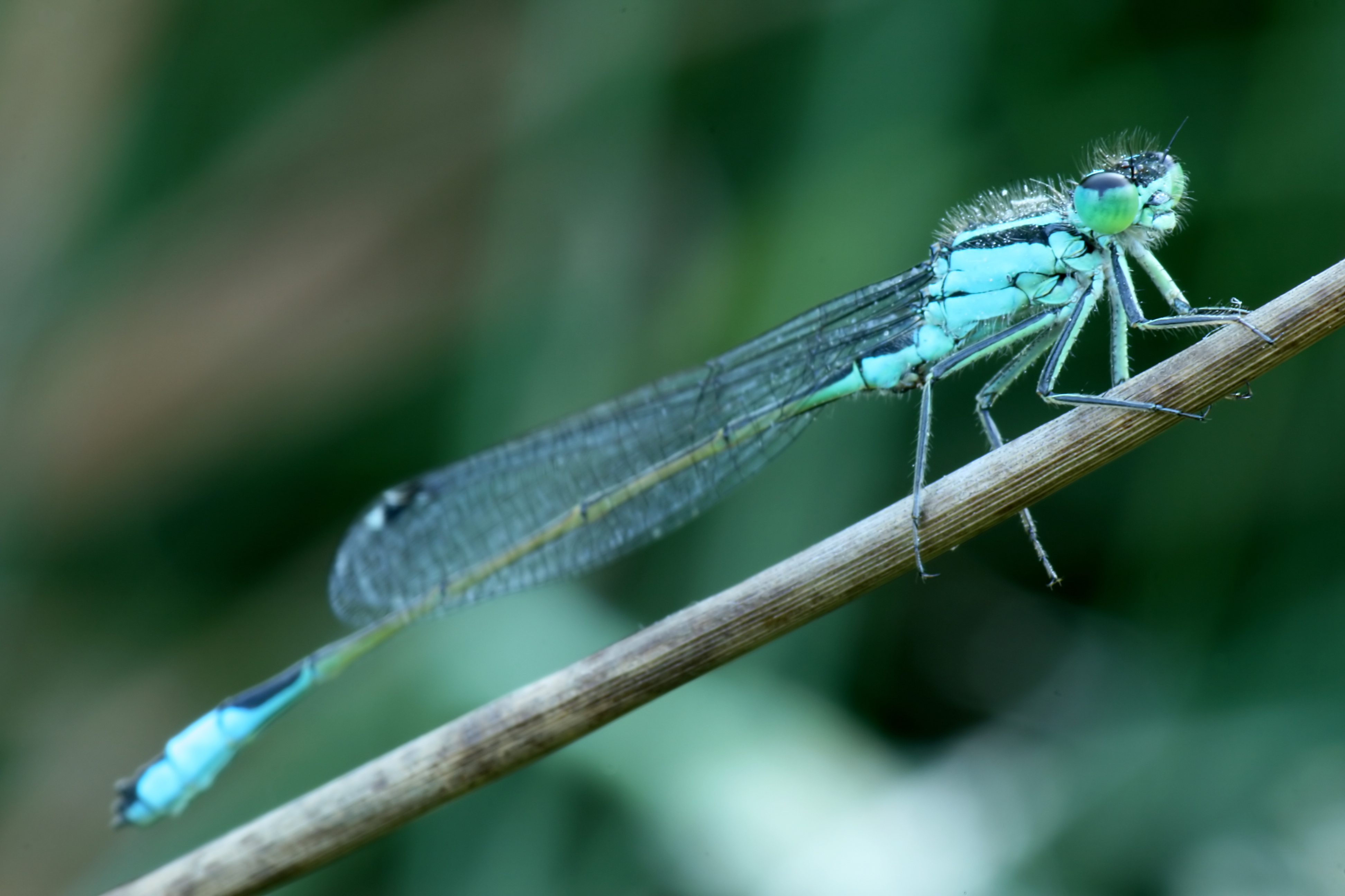 20080610073012.jpg