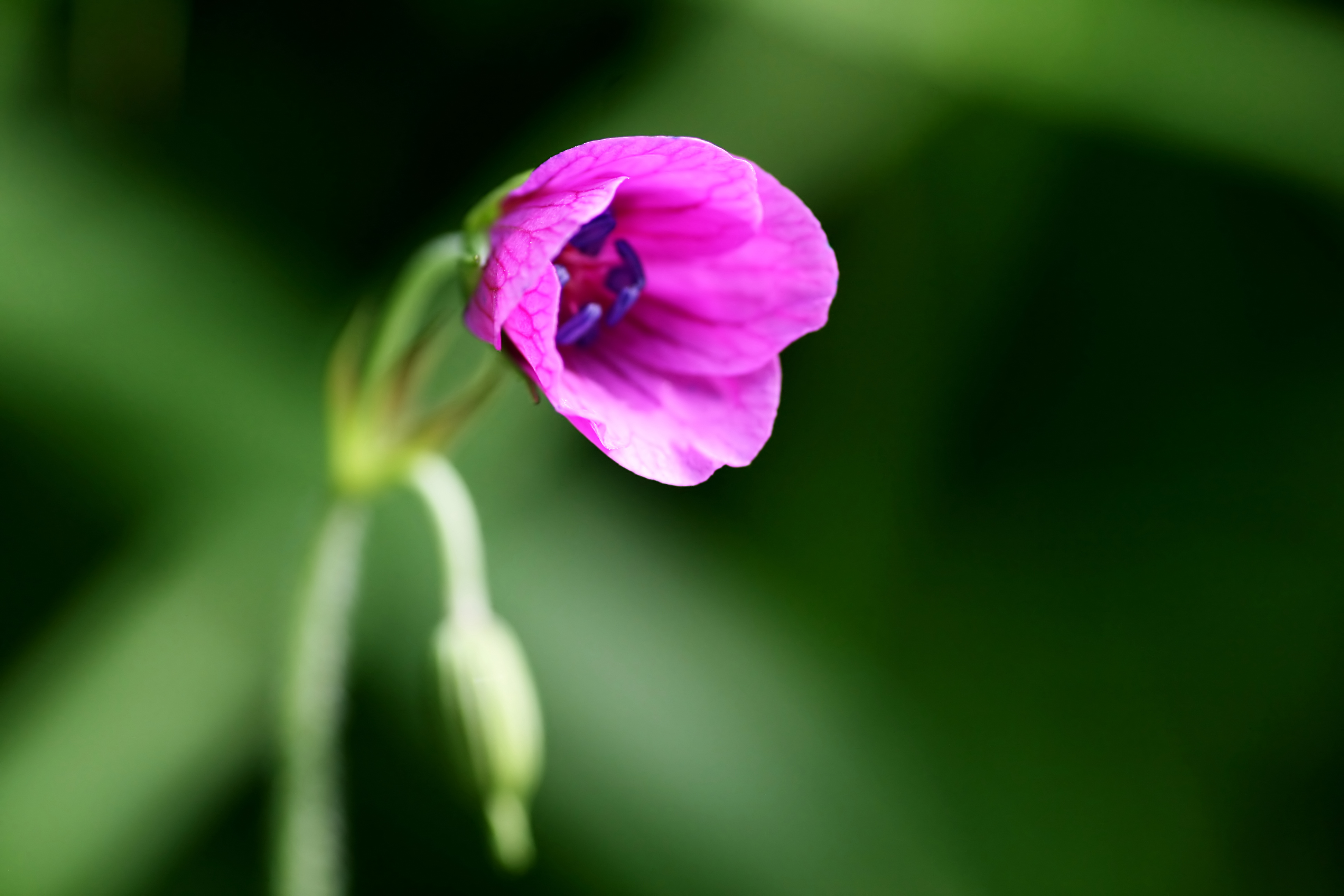 20080612074649.jpg