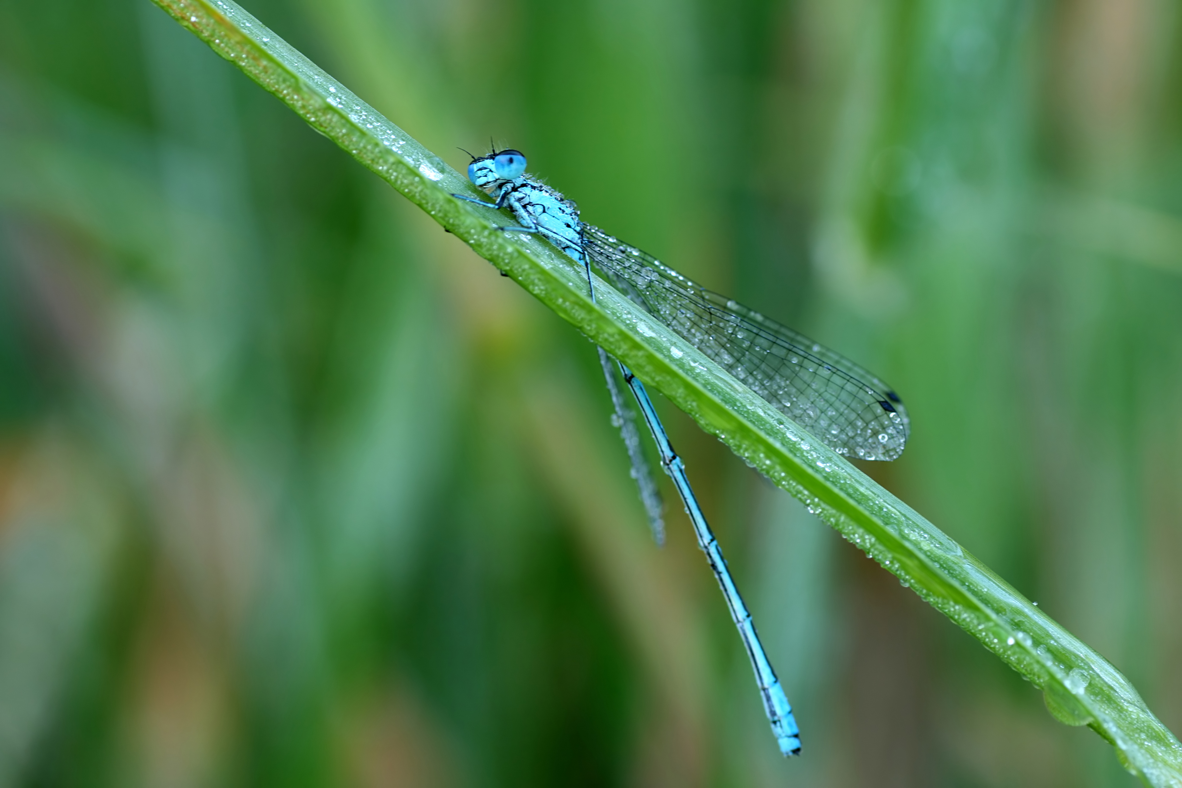 20080614070629.jpg