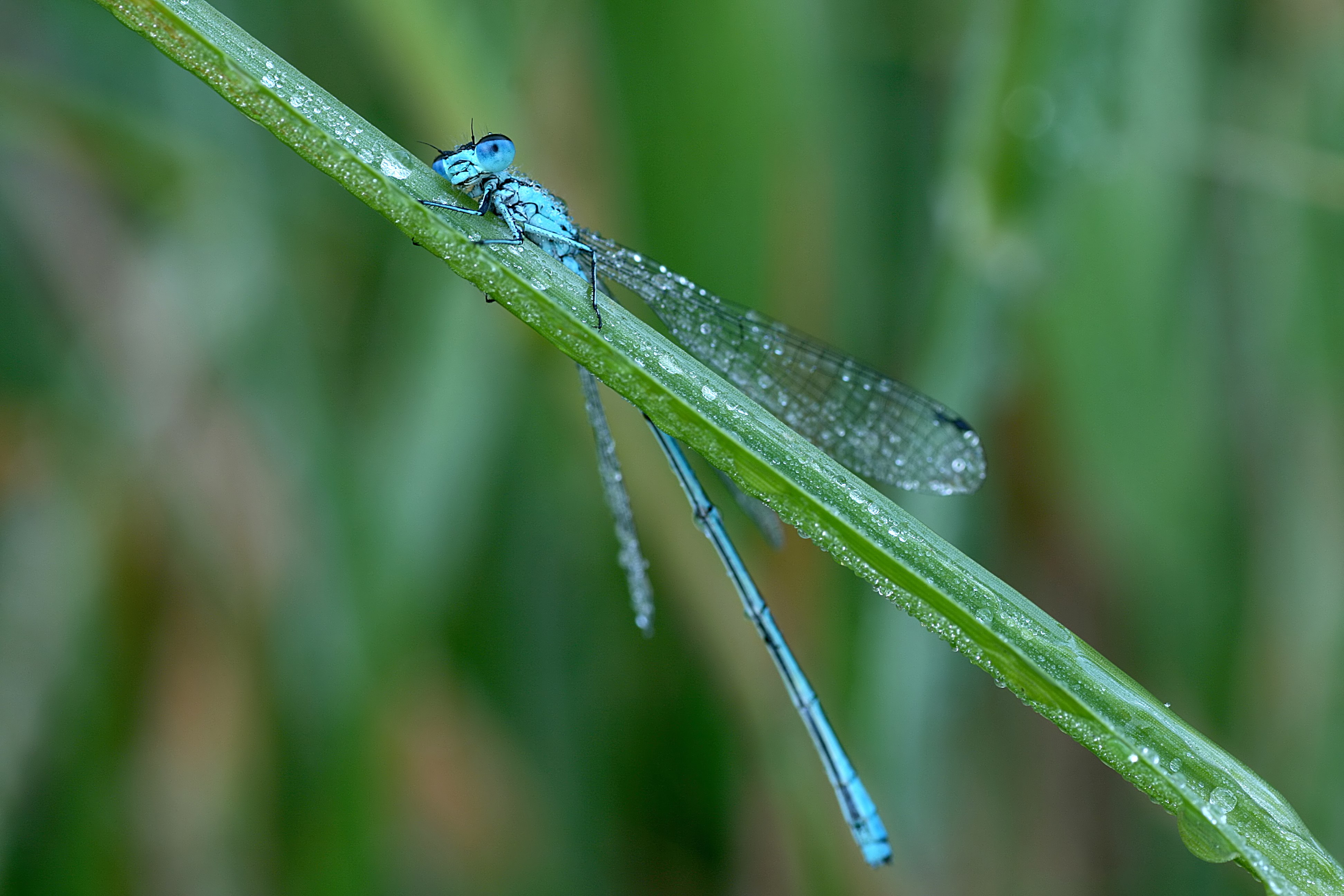 20080614070721.jpg