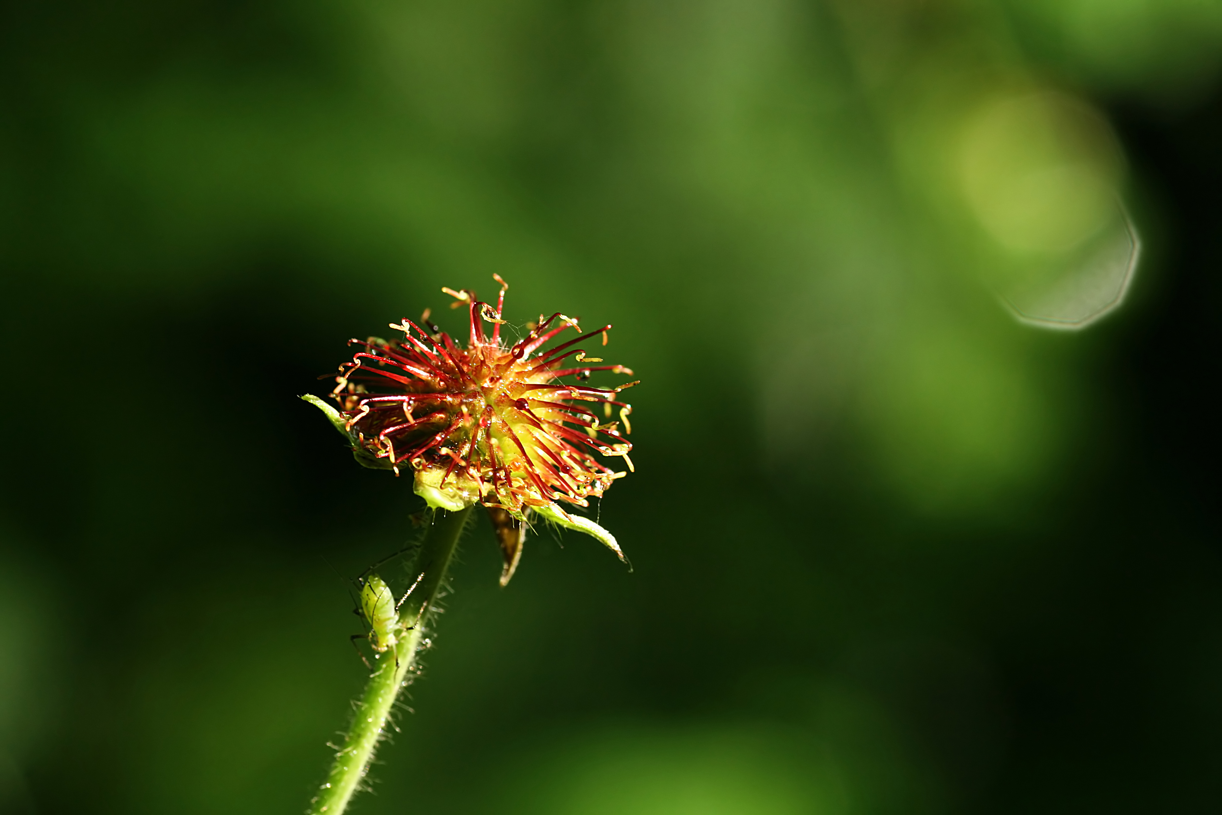 20080614075522.jpg