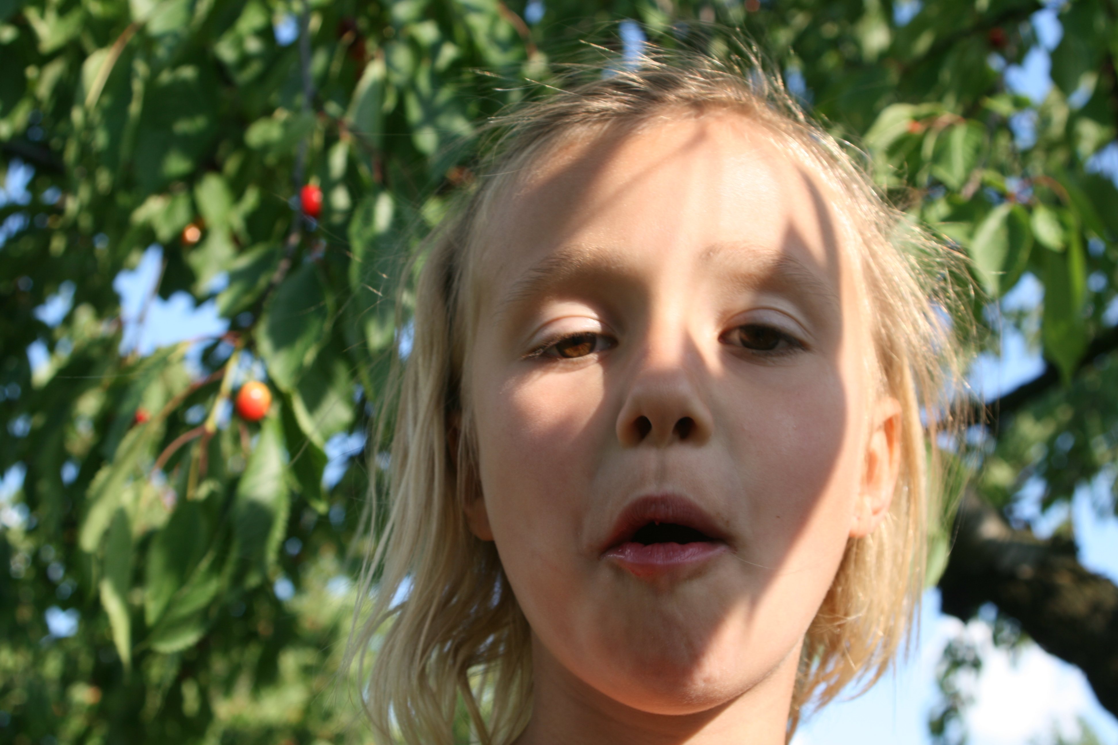 20080616181450.jpg