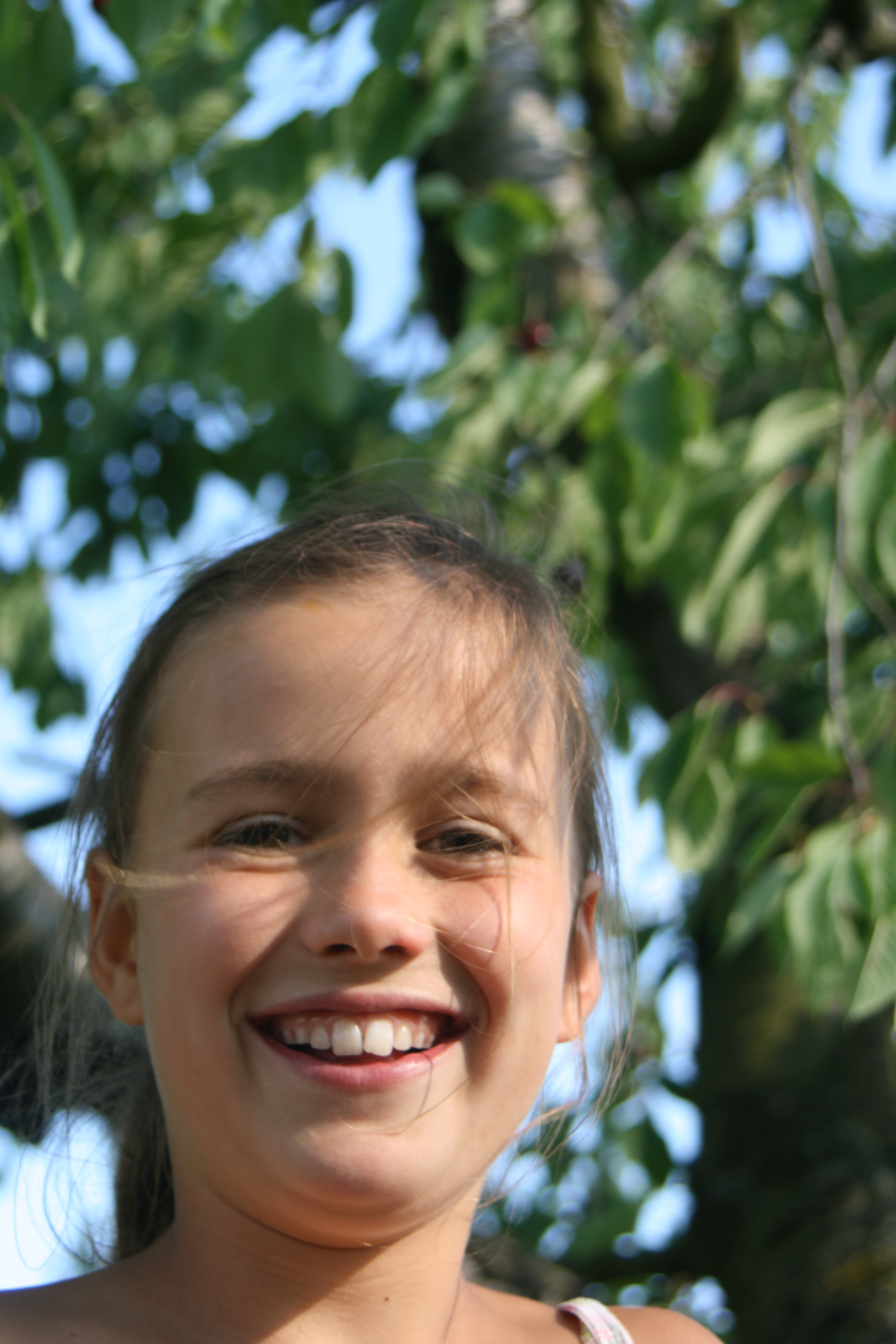 20080616181455.jpg