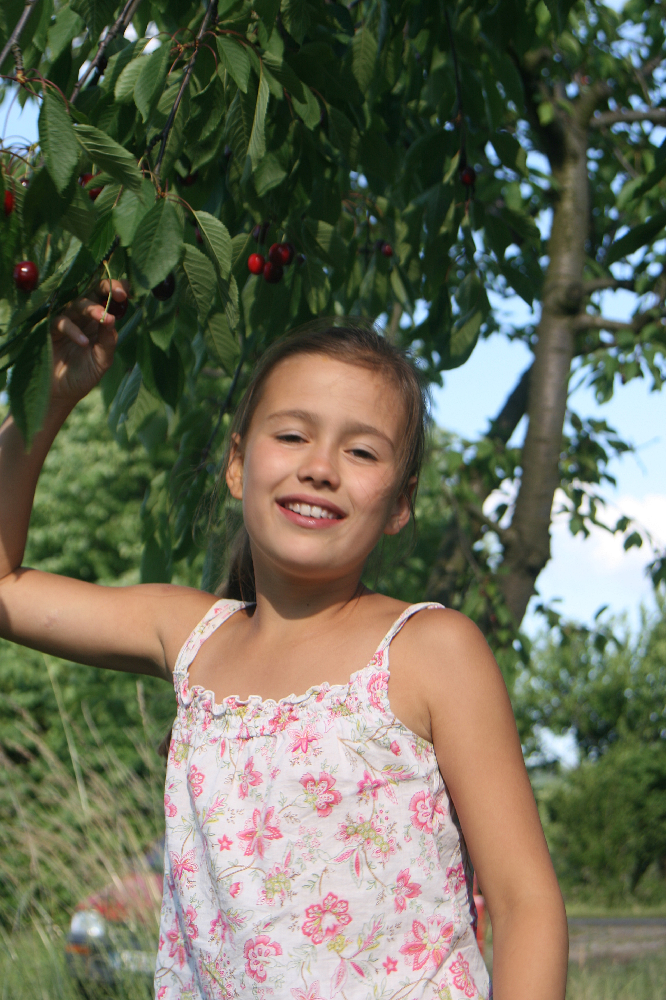 20080616181518.jpg
