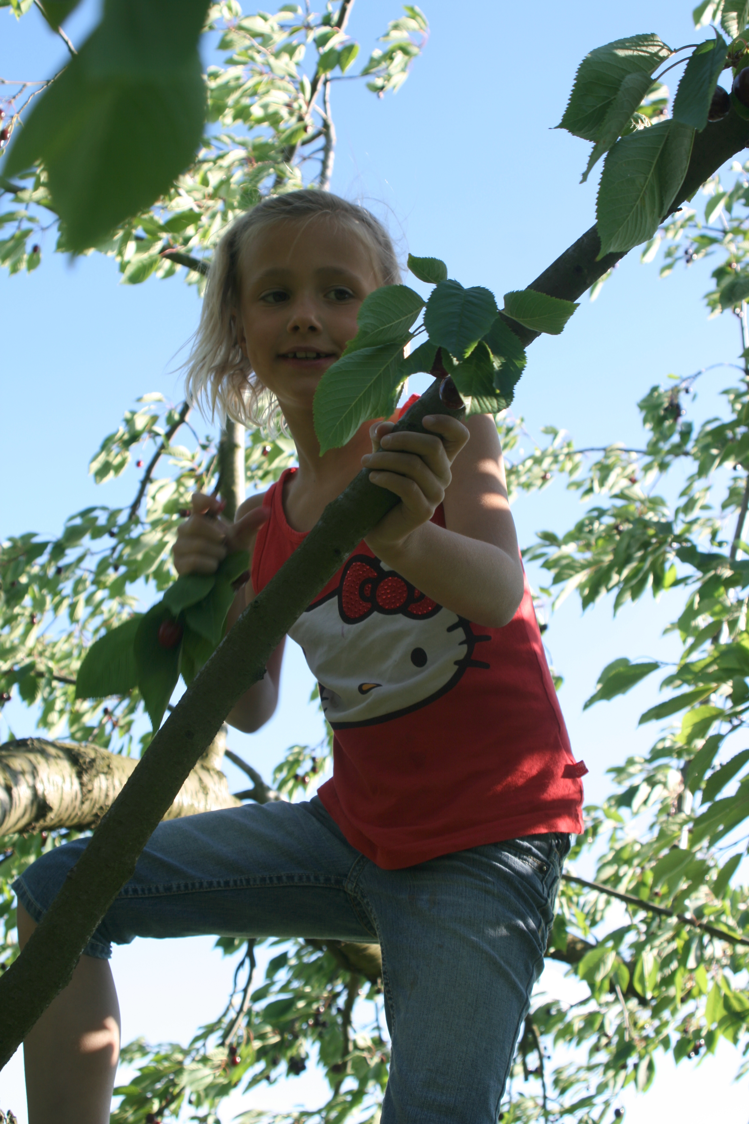 20080616182107.jpg