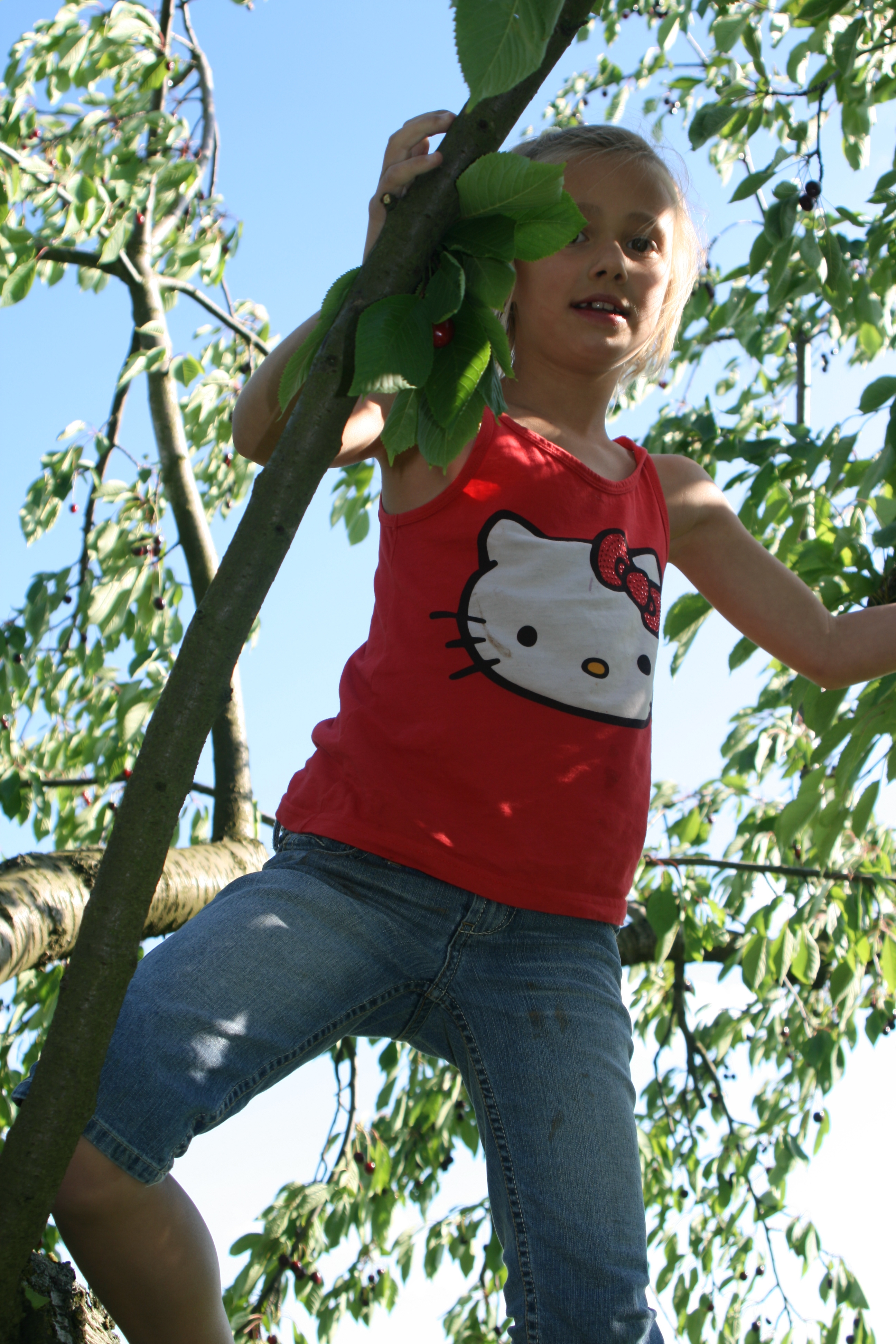 20080616182125.jpg