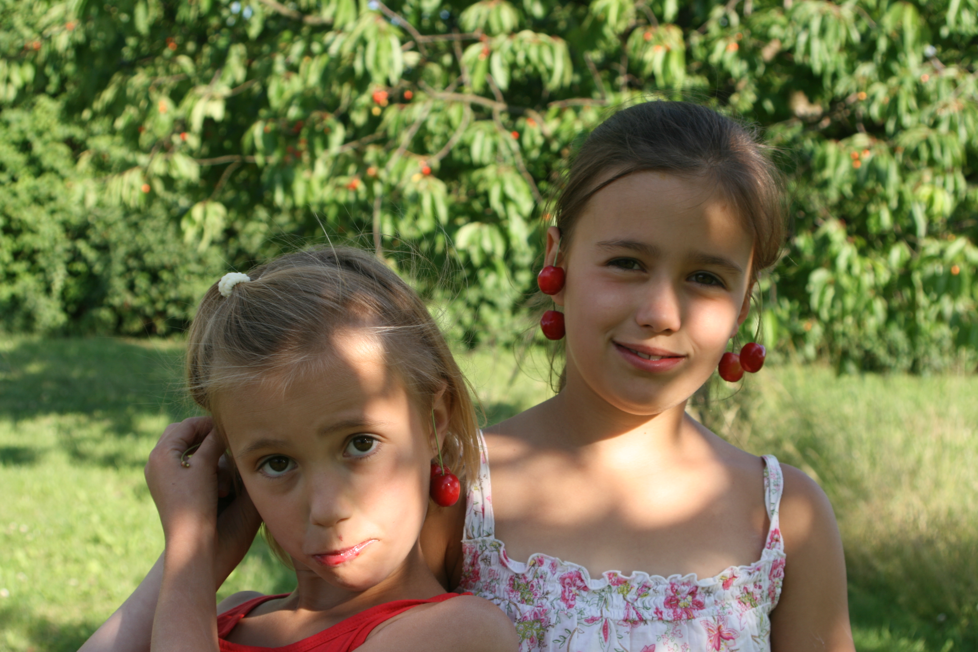 20080616182610.jpg