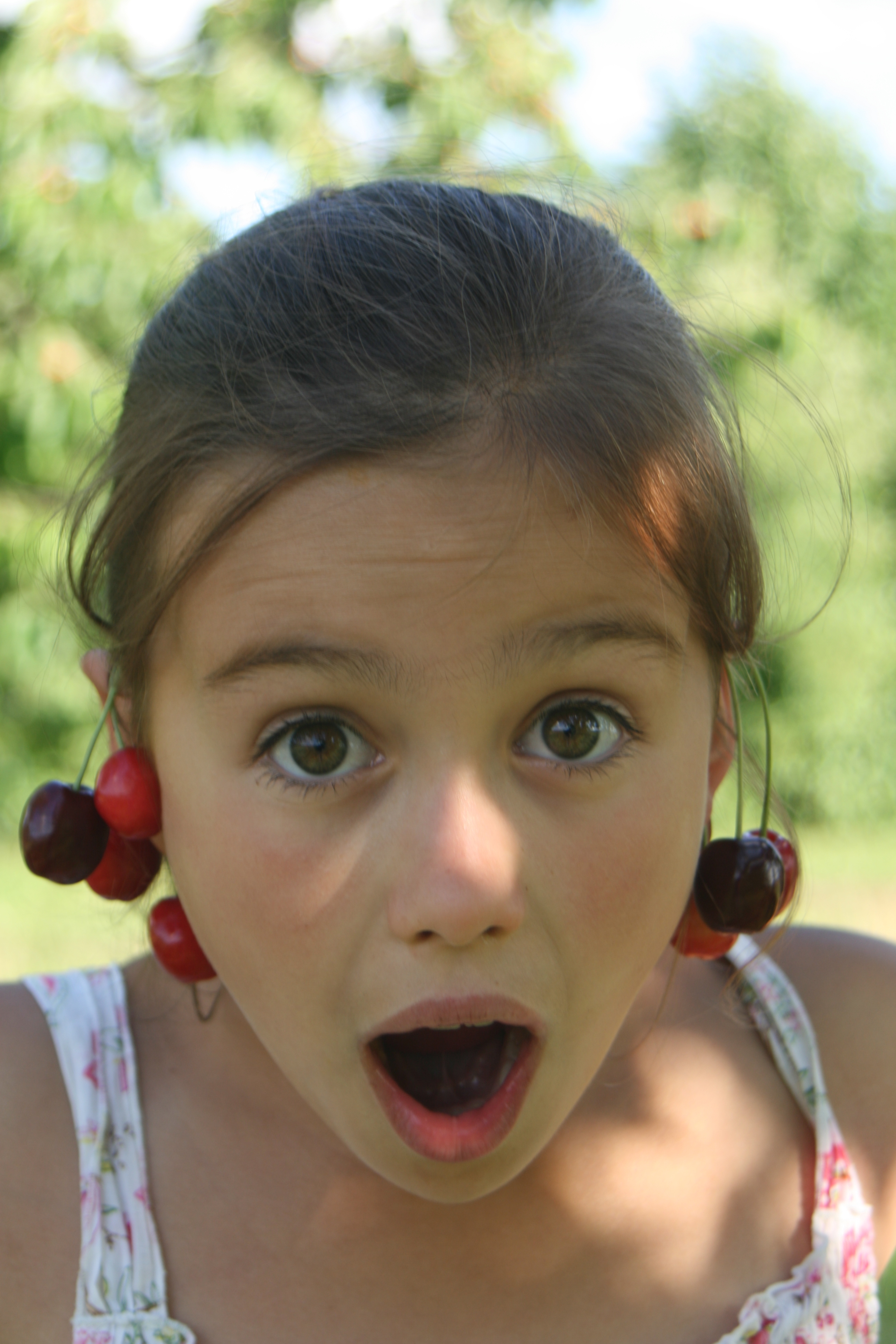 20080616182639.jpg