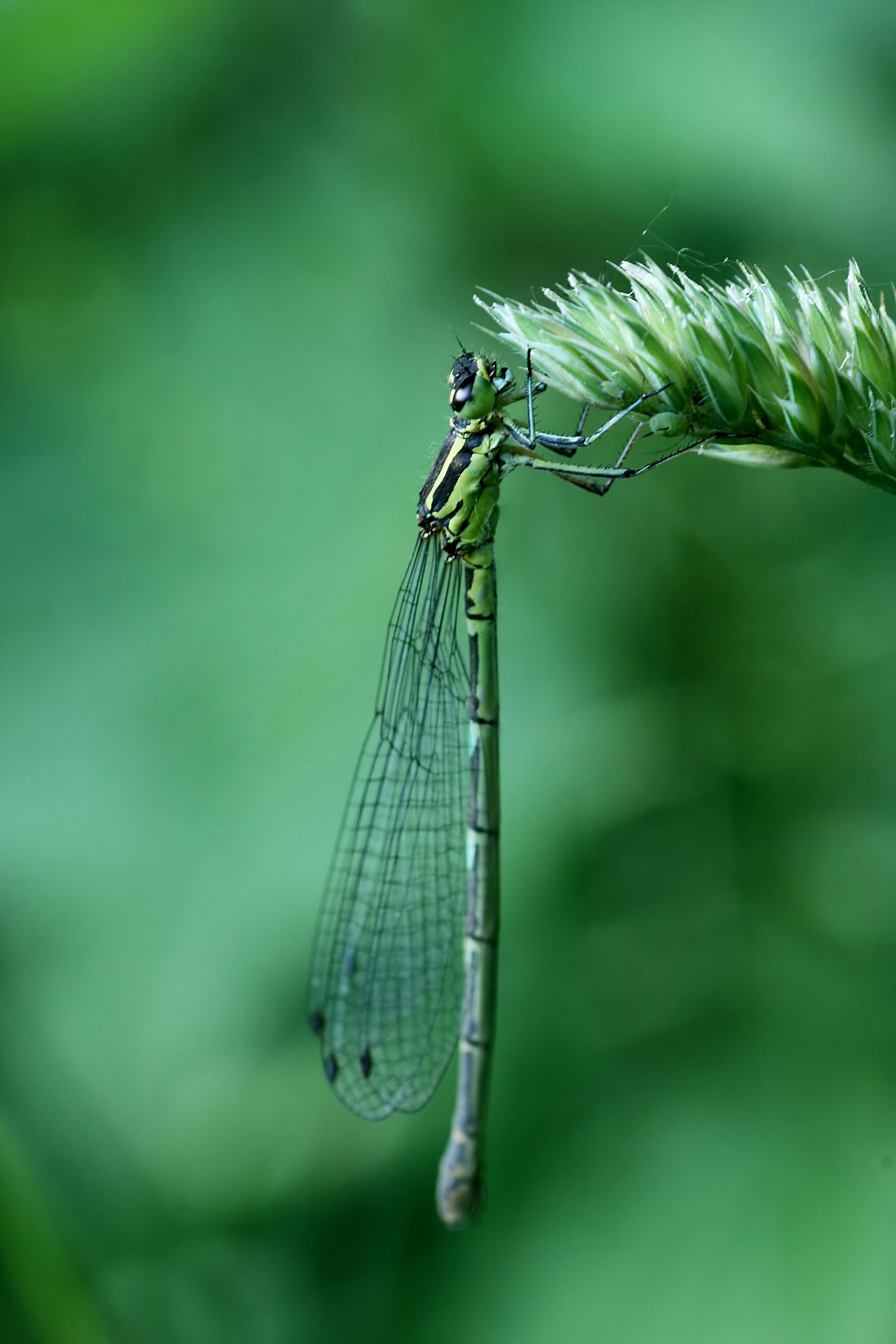 20080616195556.jpg