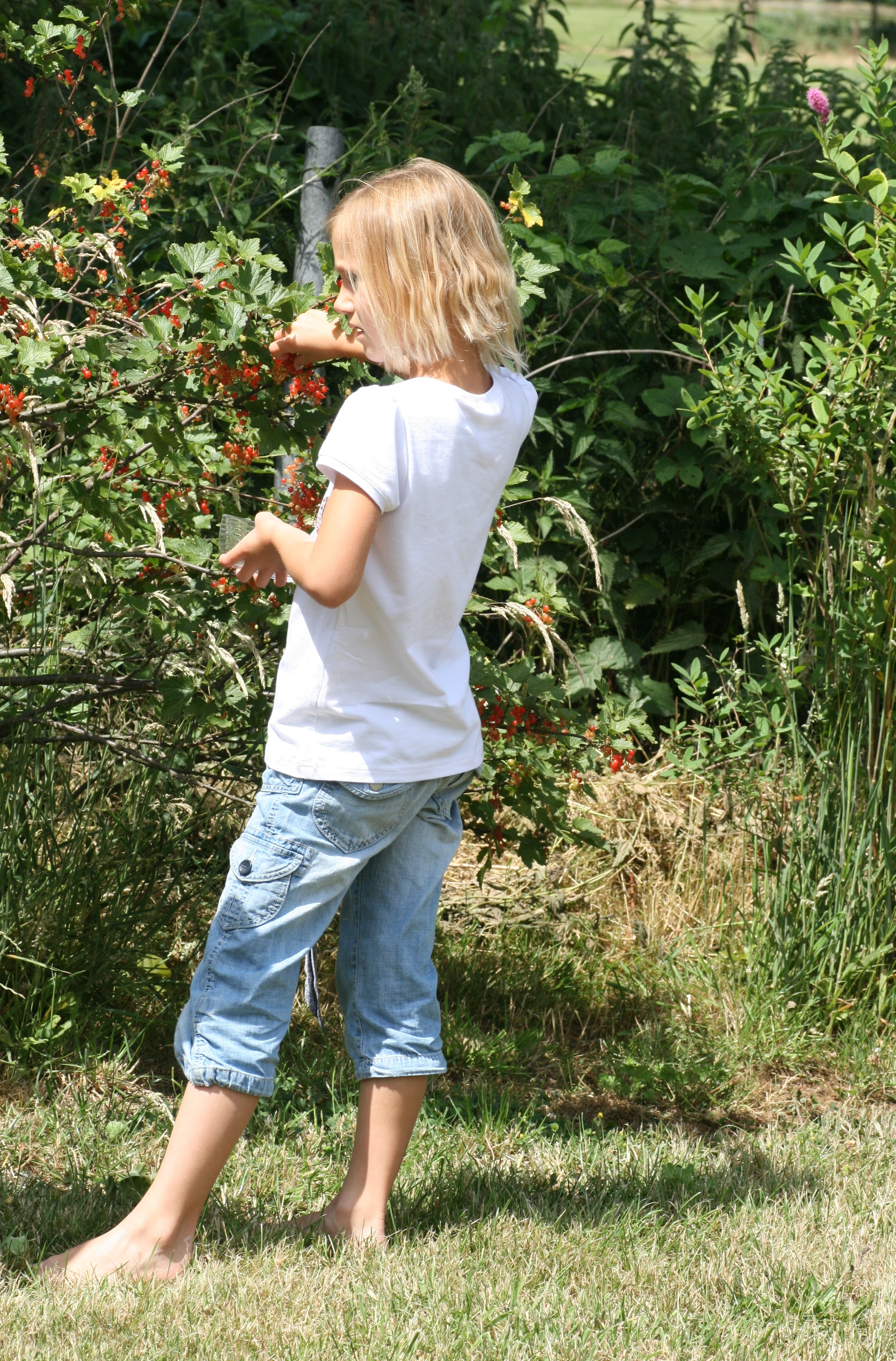 20080621133554.jpg