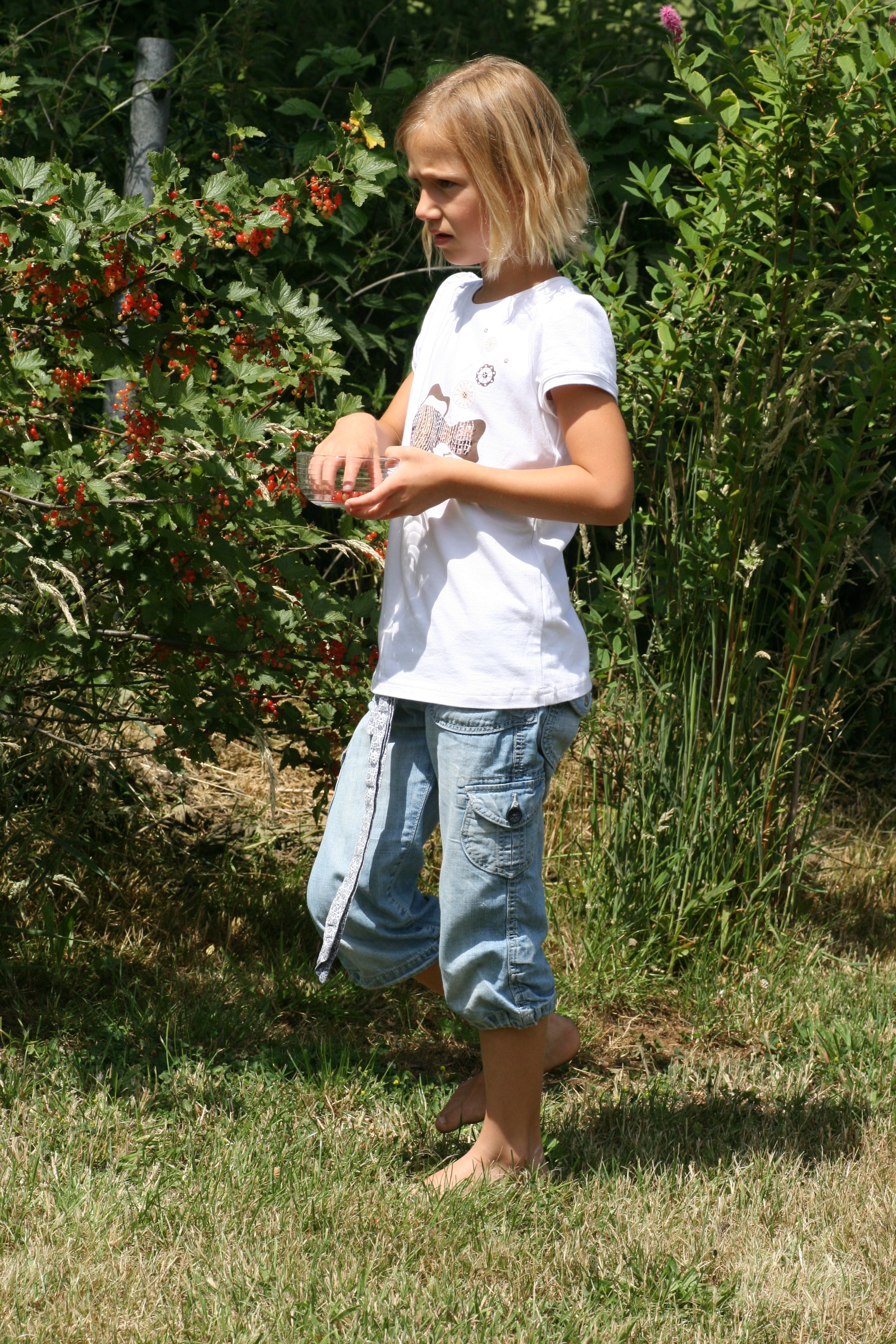 20080621133625.jpg