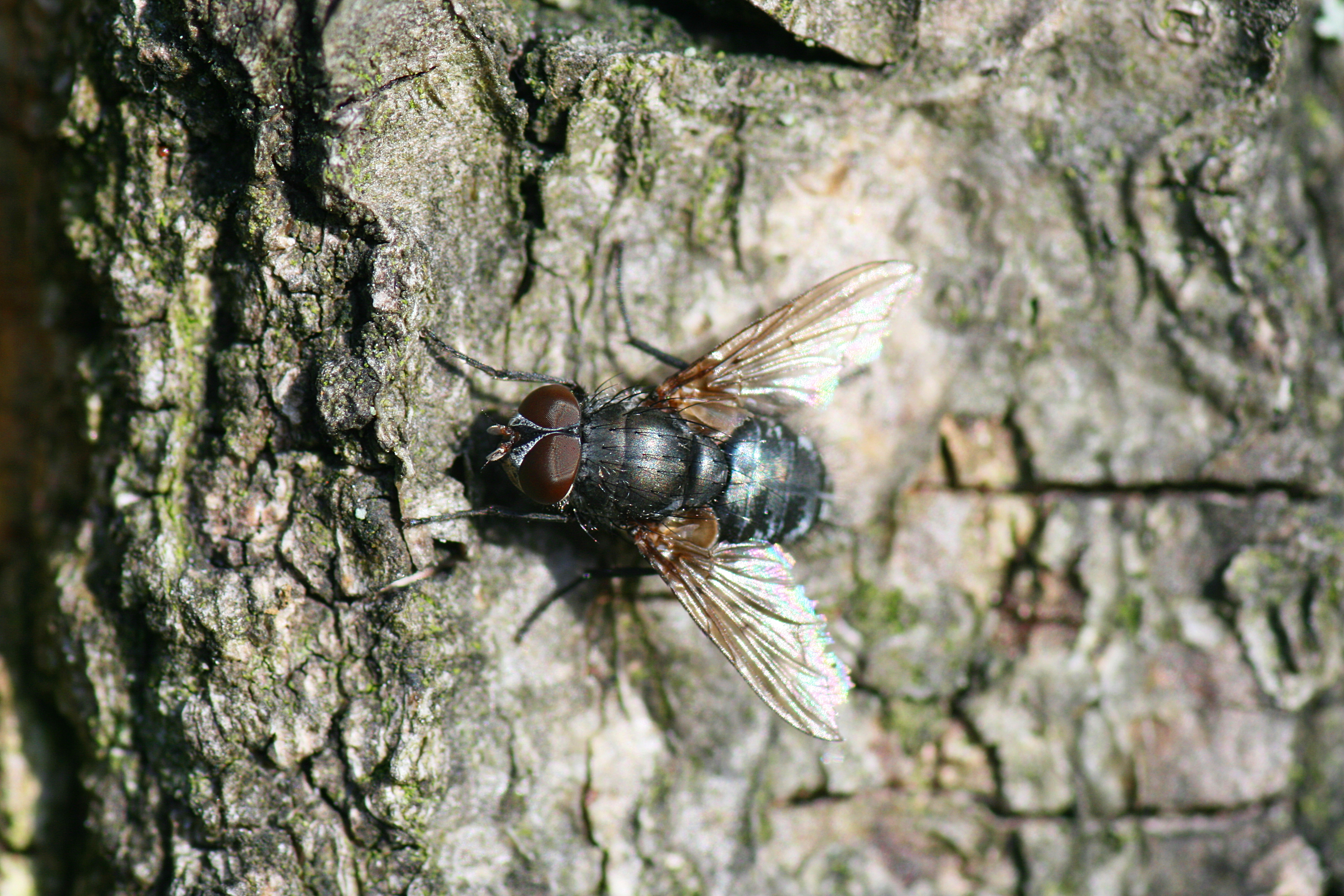20080626191835.jpg