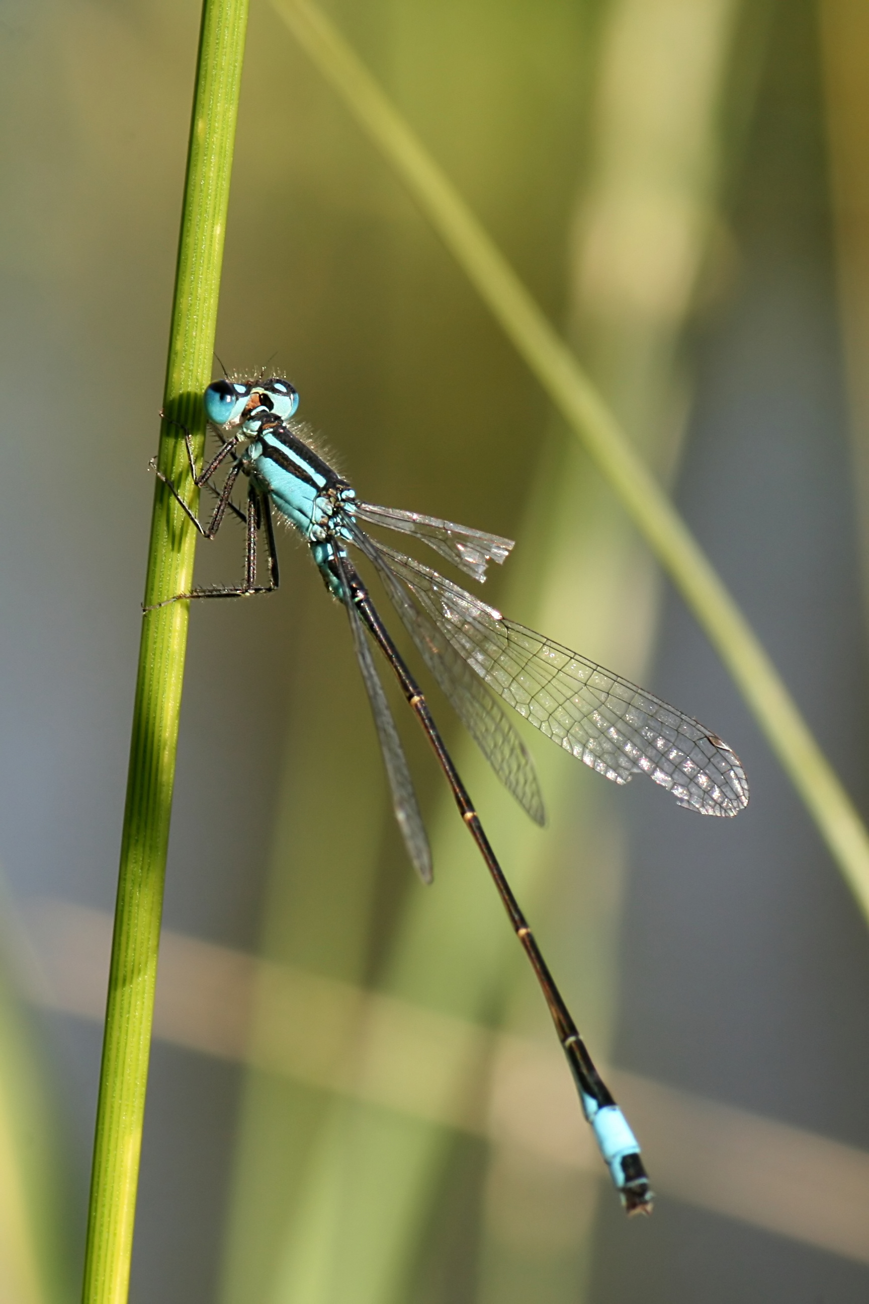 20080701191534.jpg