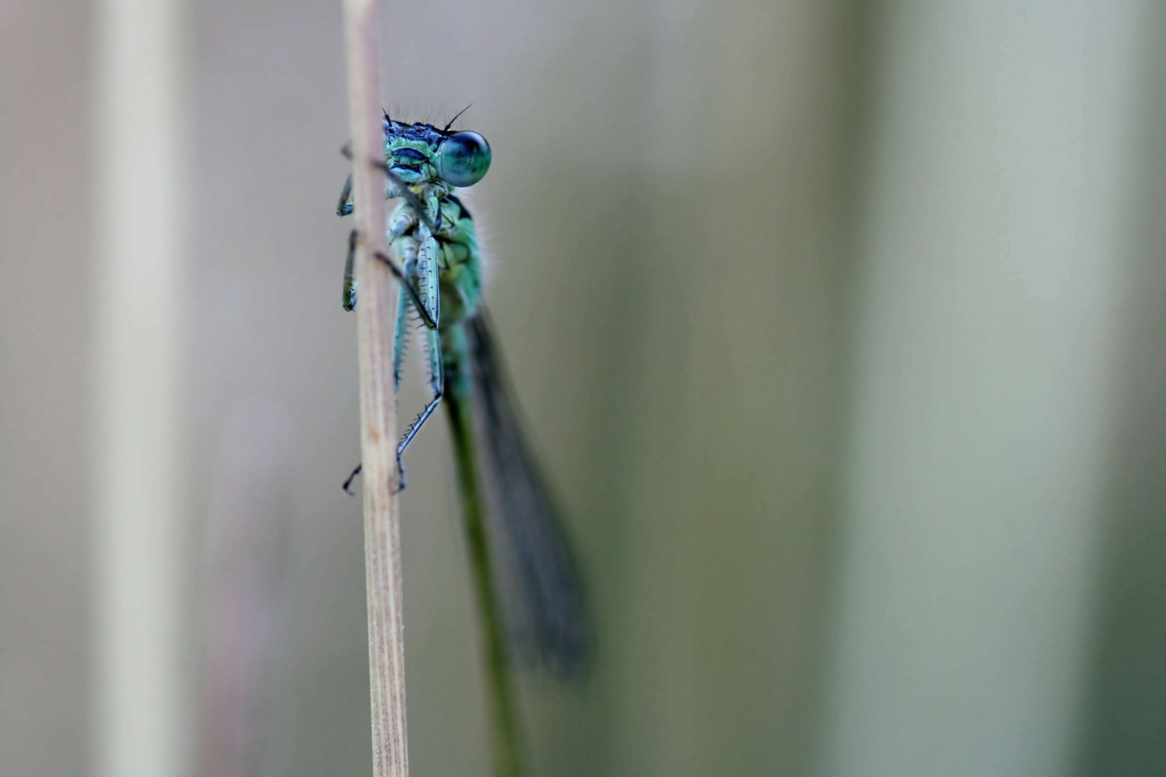 20080702064836.jpg