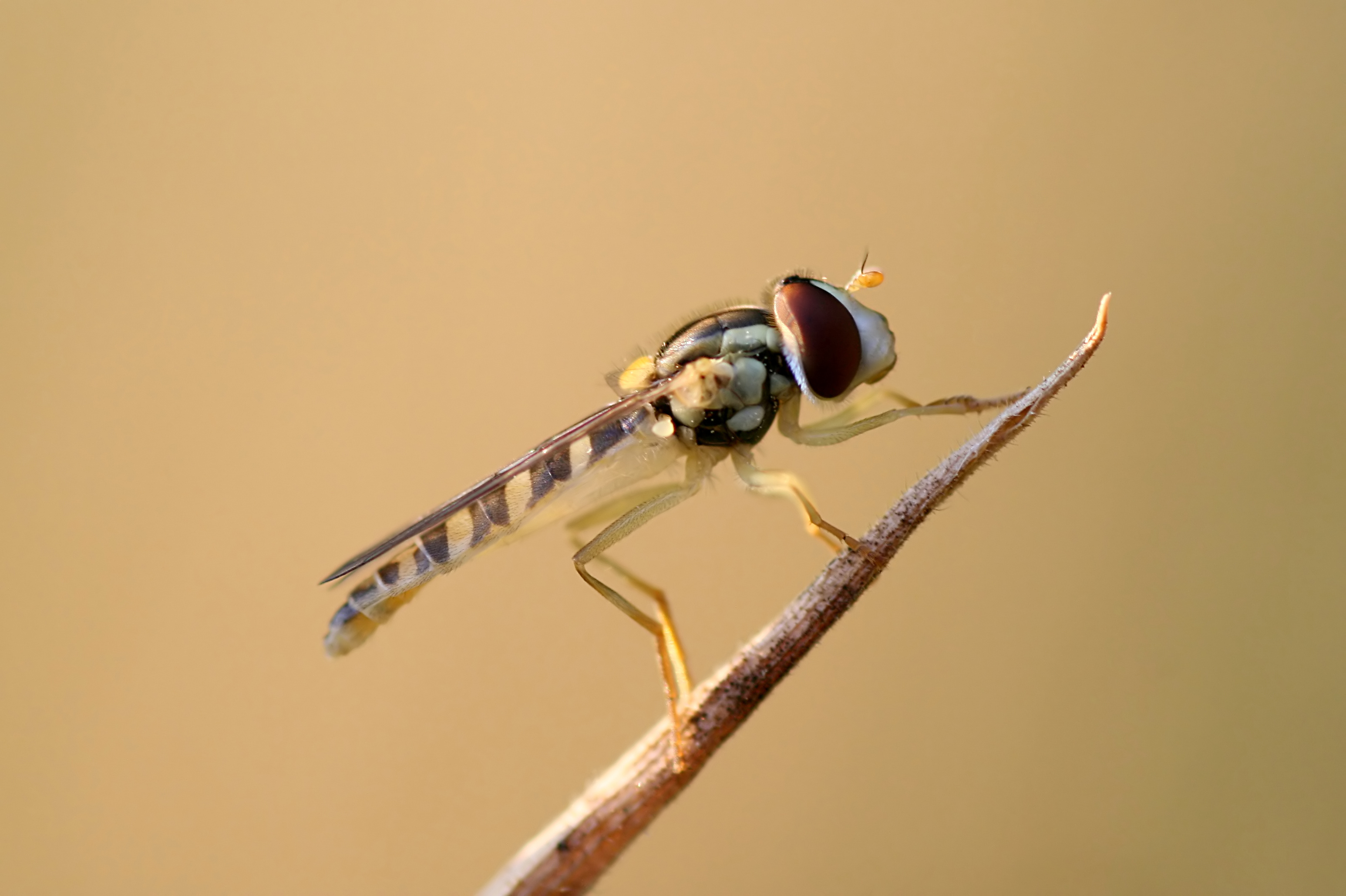 20080702202738.jpg