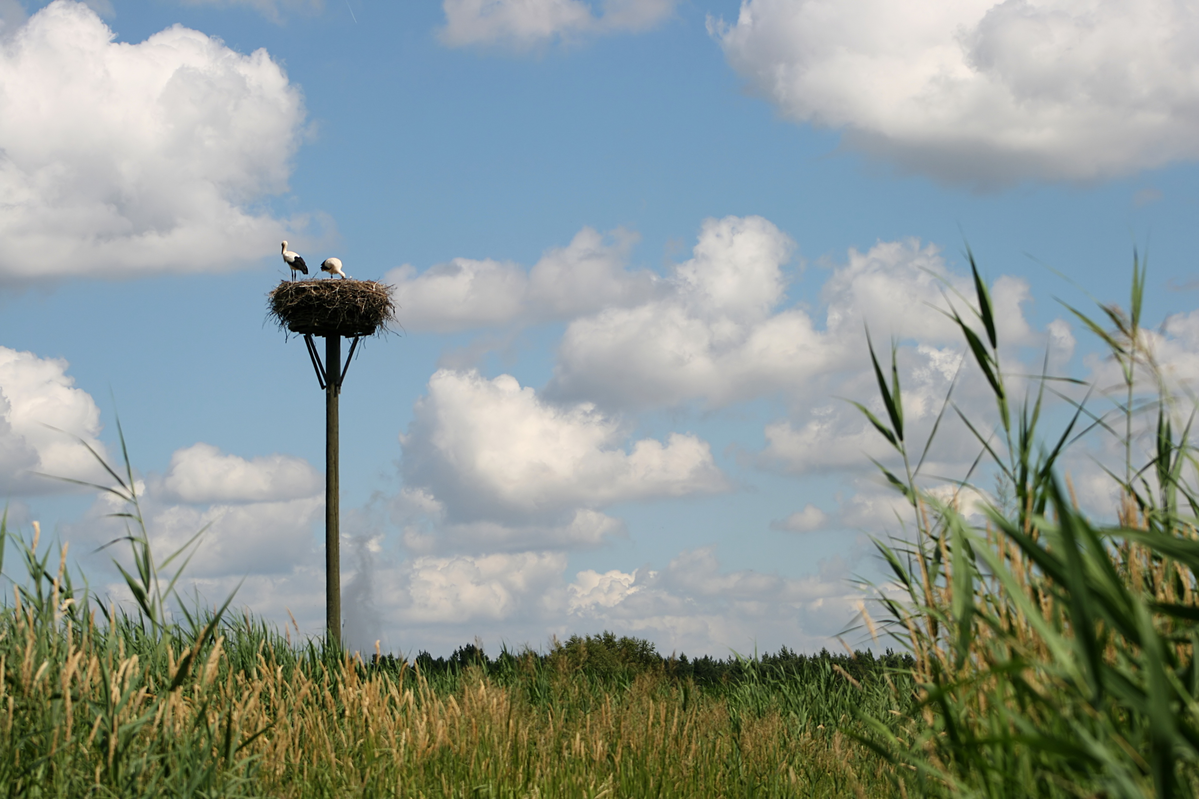 20080705144850.jpg