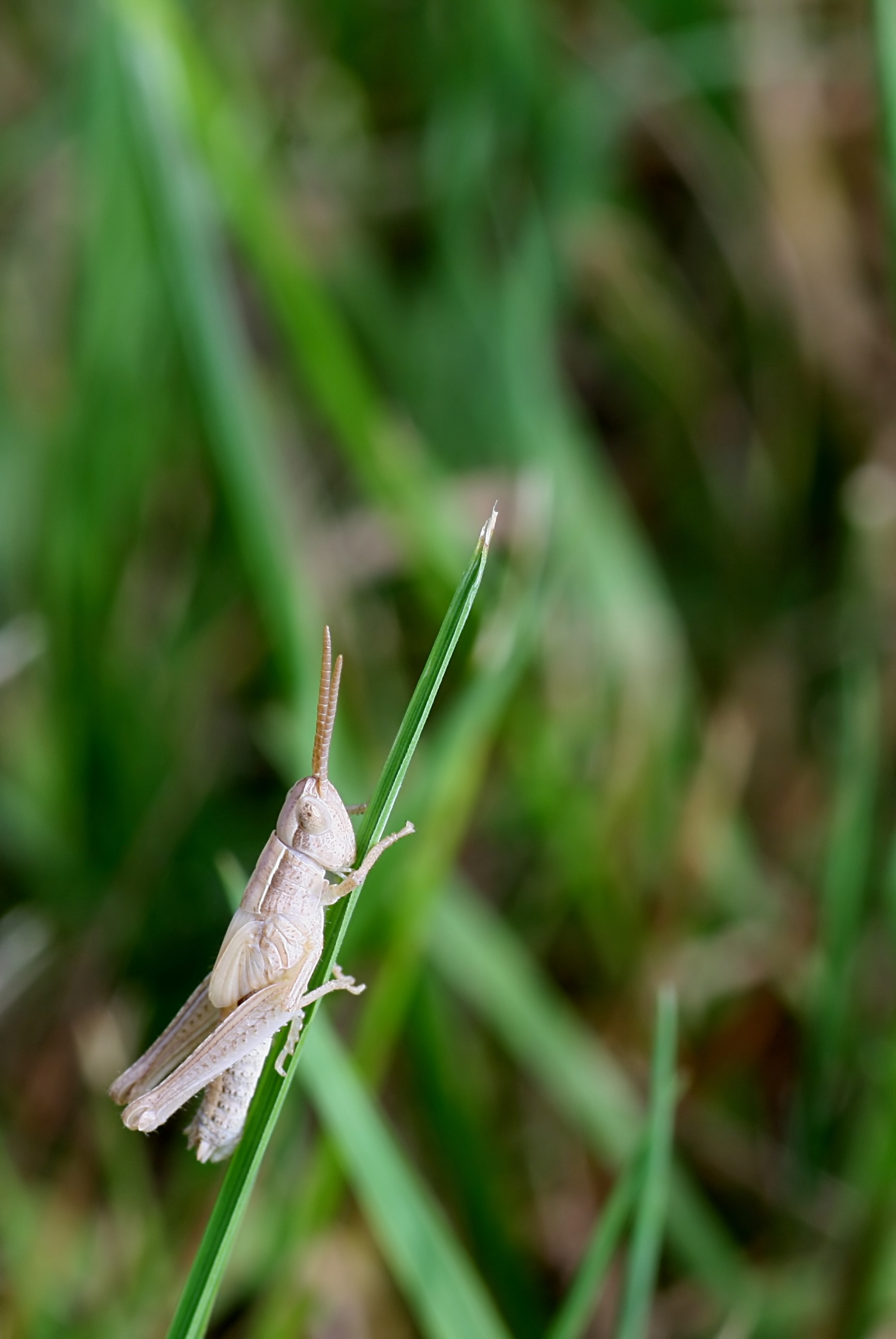 20080705174404.jpg