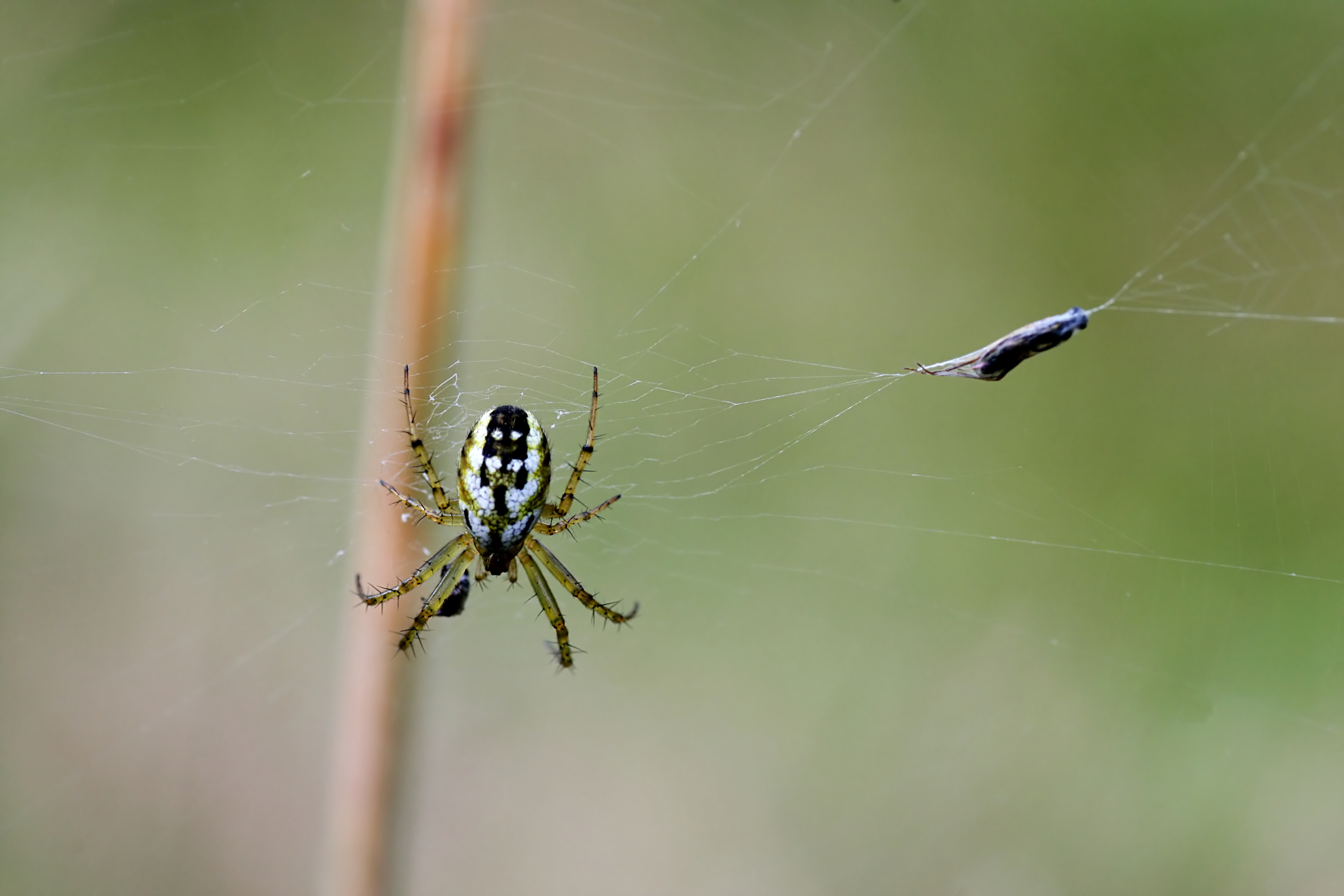 20080705180115.jpg