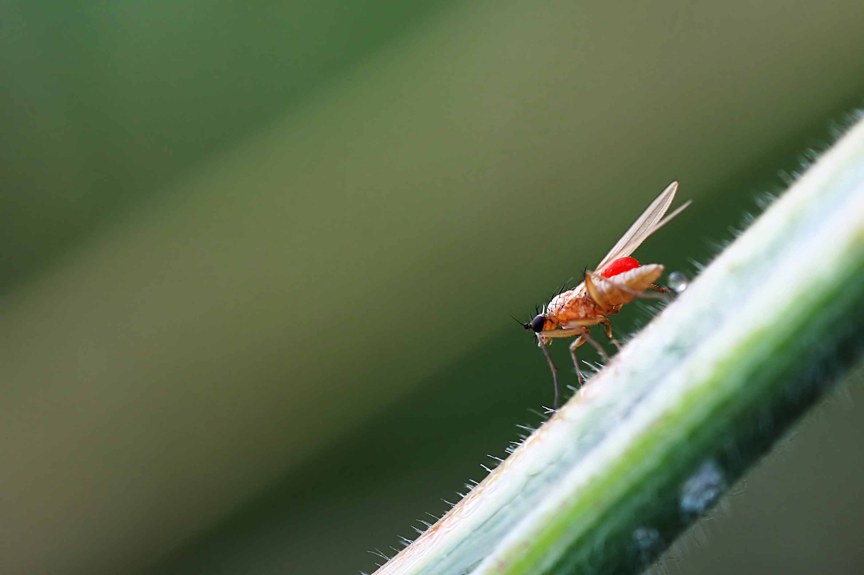20080707205615.jpg
