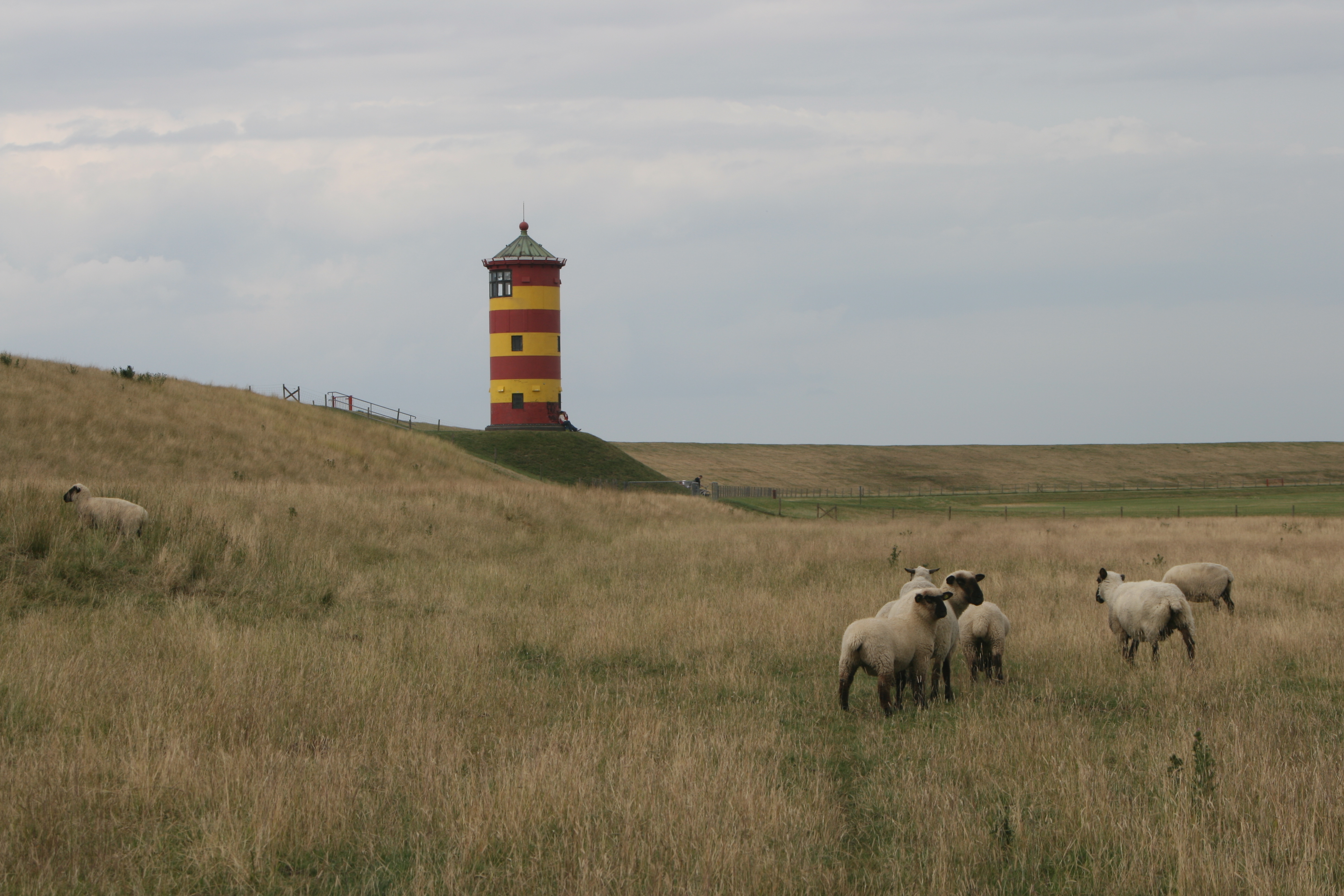 20080711170706.jpg